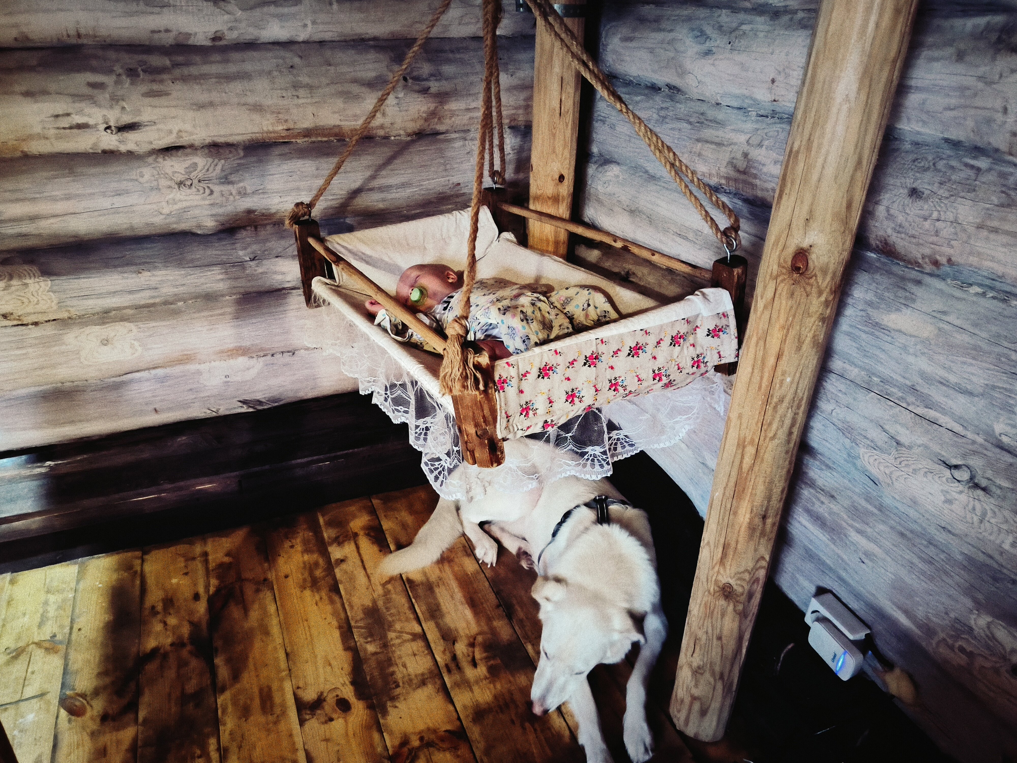 Фото Ясная поляна