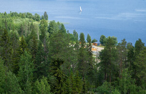 Ялгора