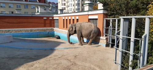 Zoo Yekaterinburg Zoo, Yekaterinburg, photo