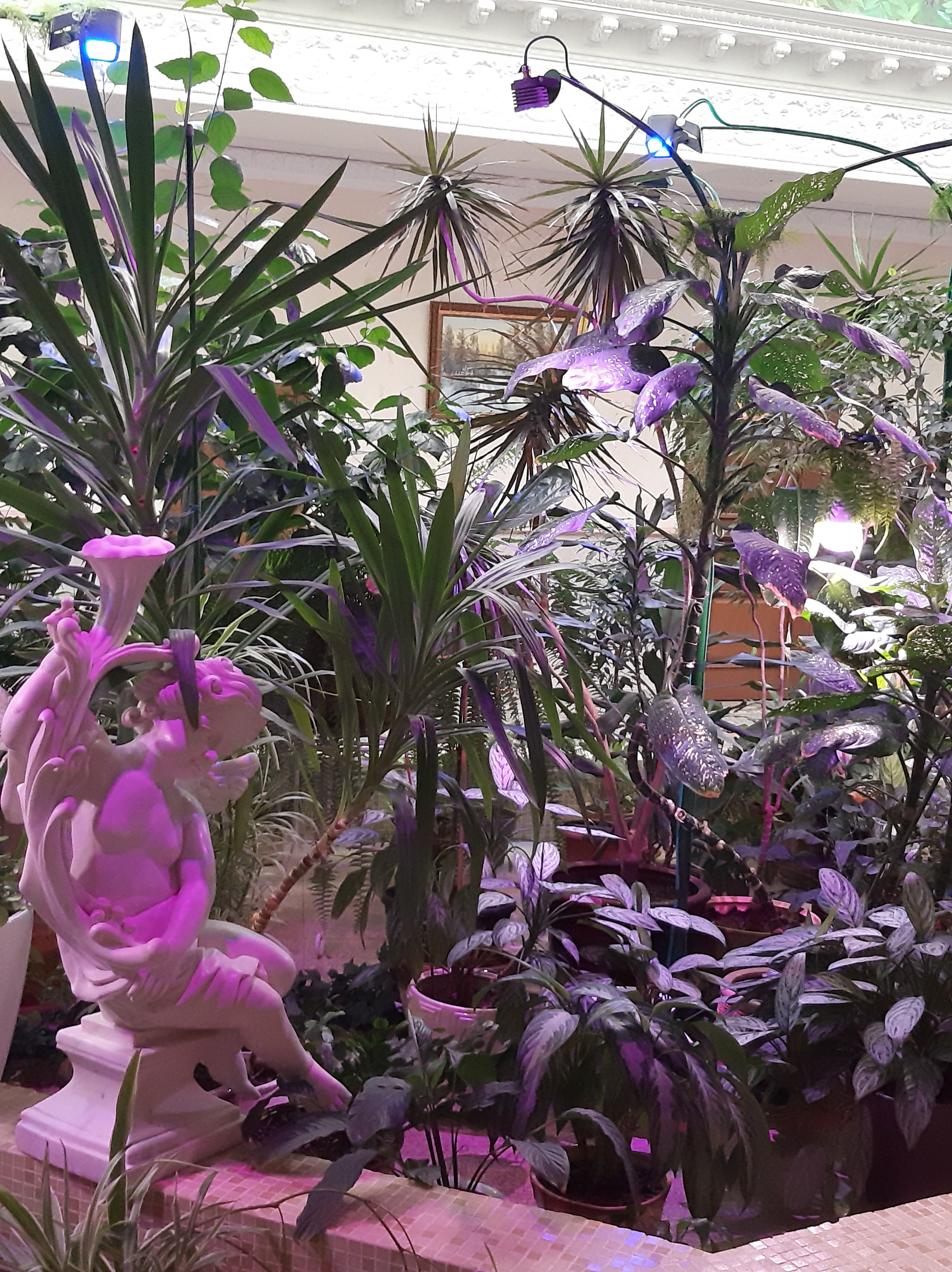 Фото Покровская