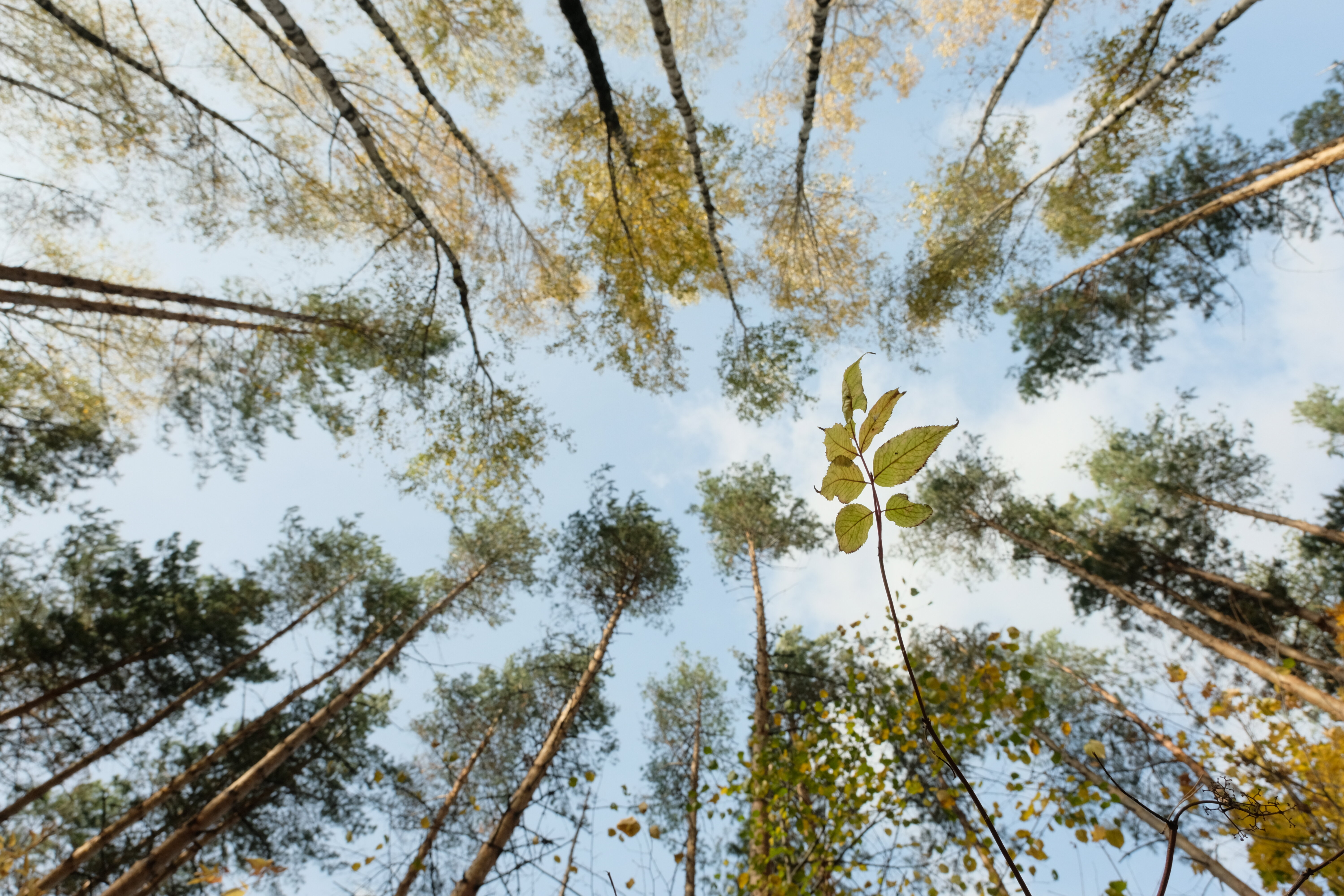 Фото 4 Сезона
