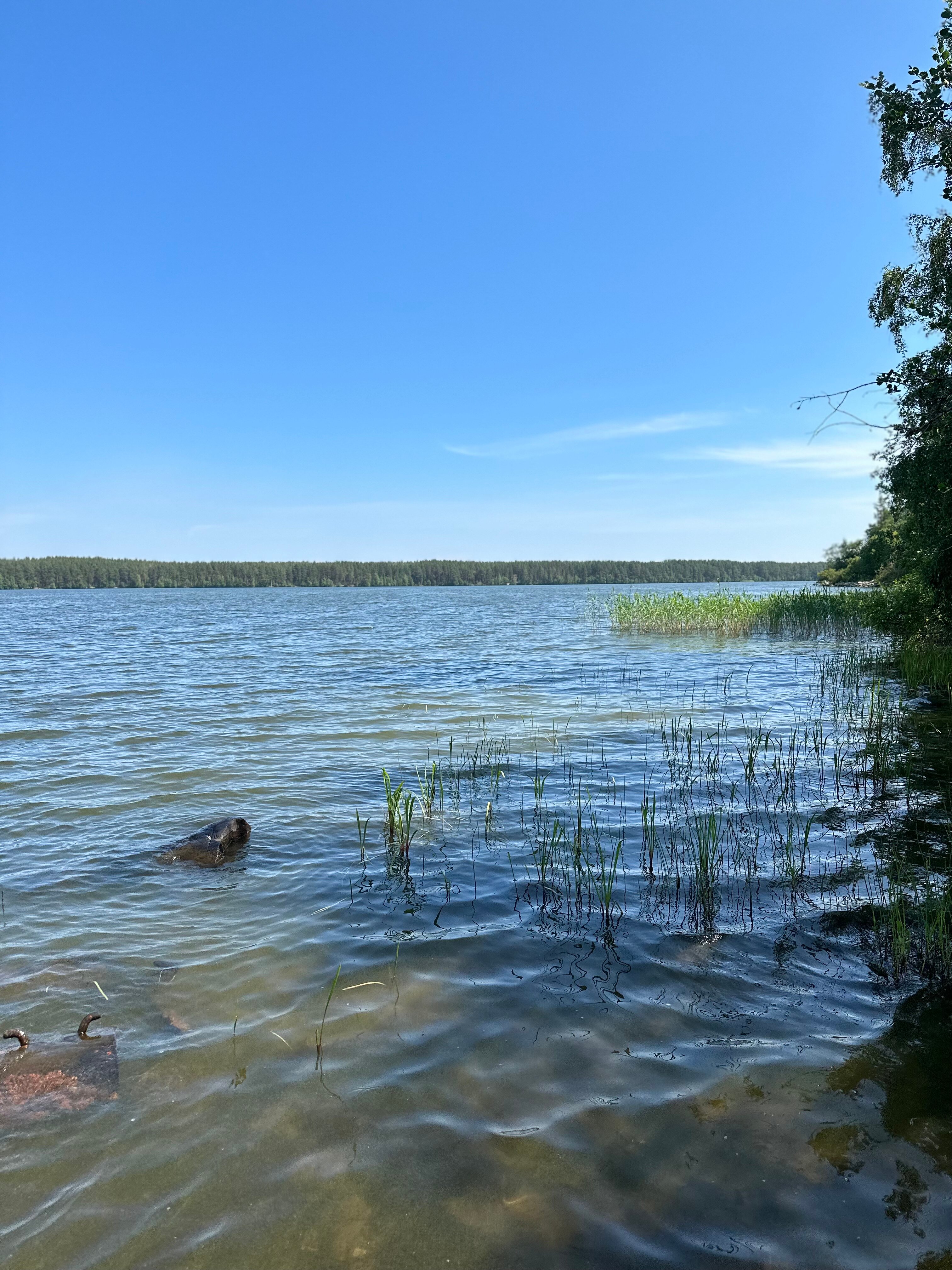 Фото Ладога Хоум - на берегу озера