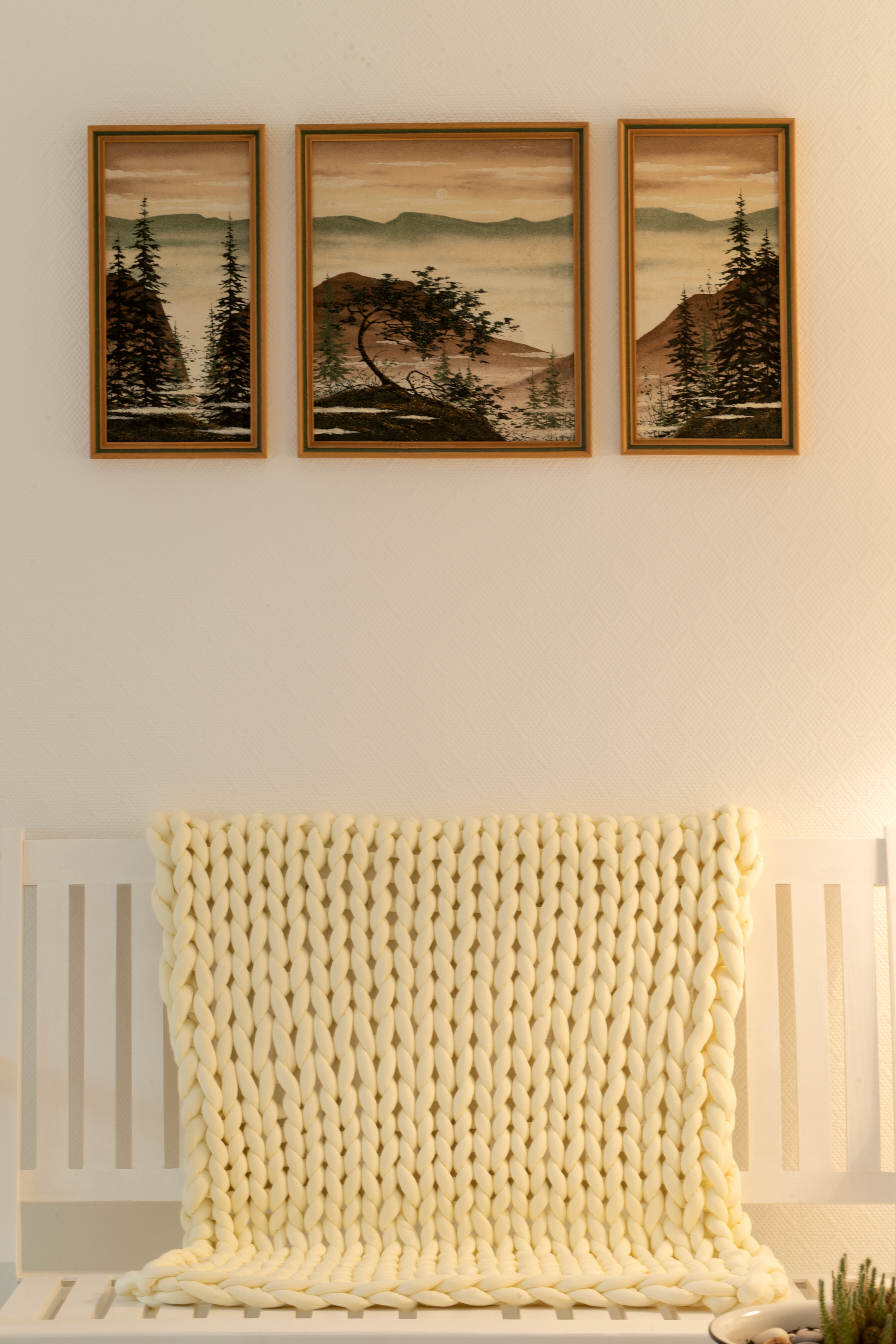 Фото Лопарочка