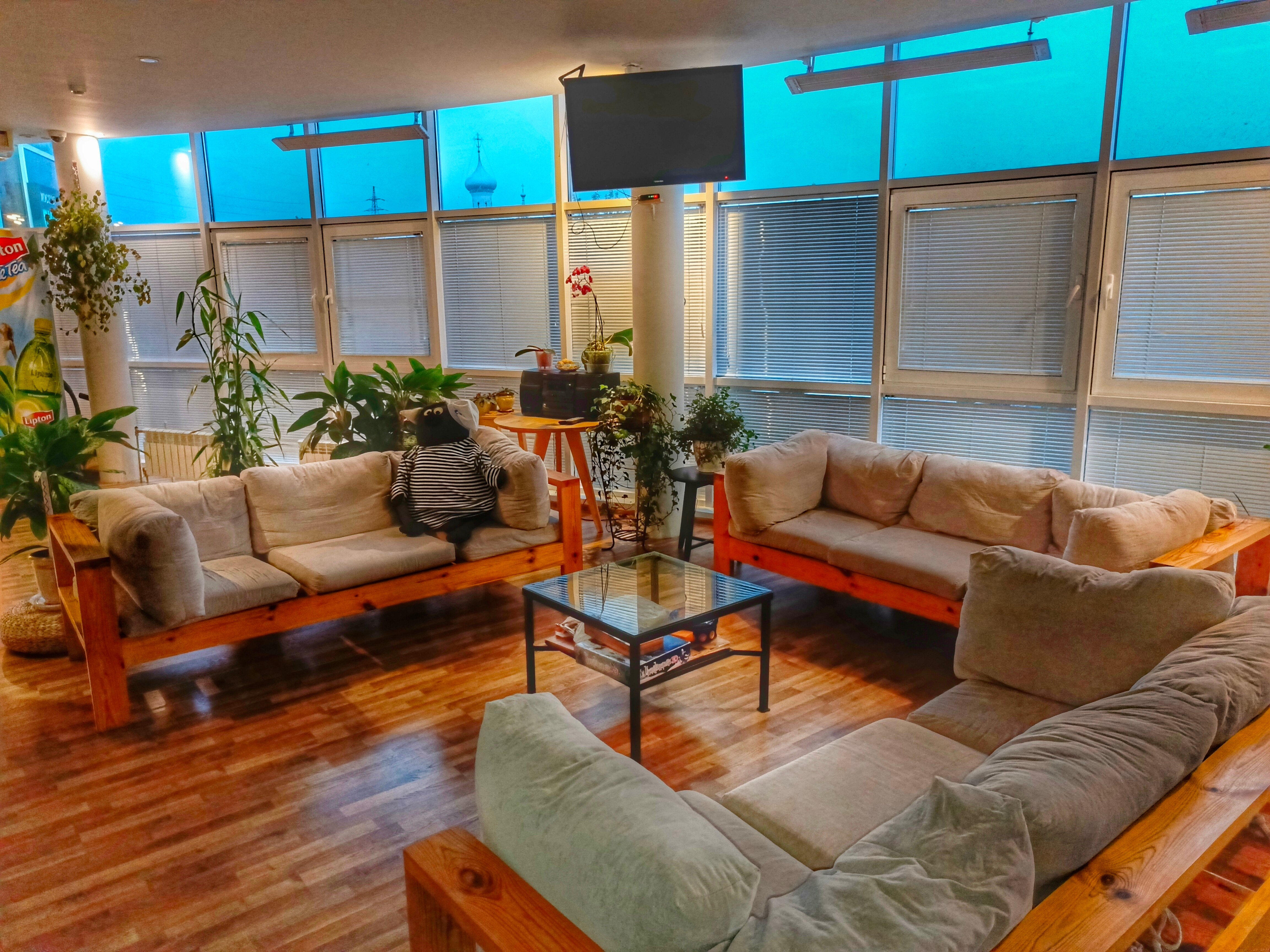 Фото Пилигрим