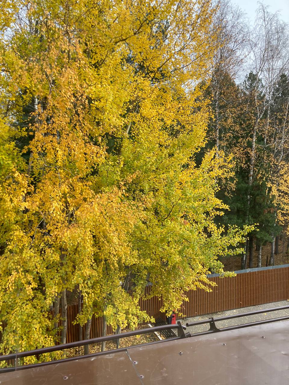 Фото Обь Грин Хаус