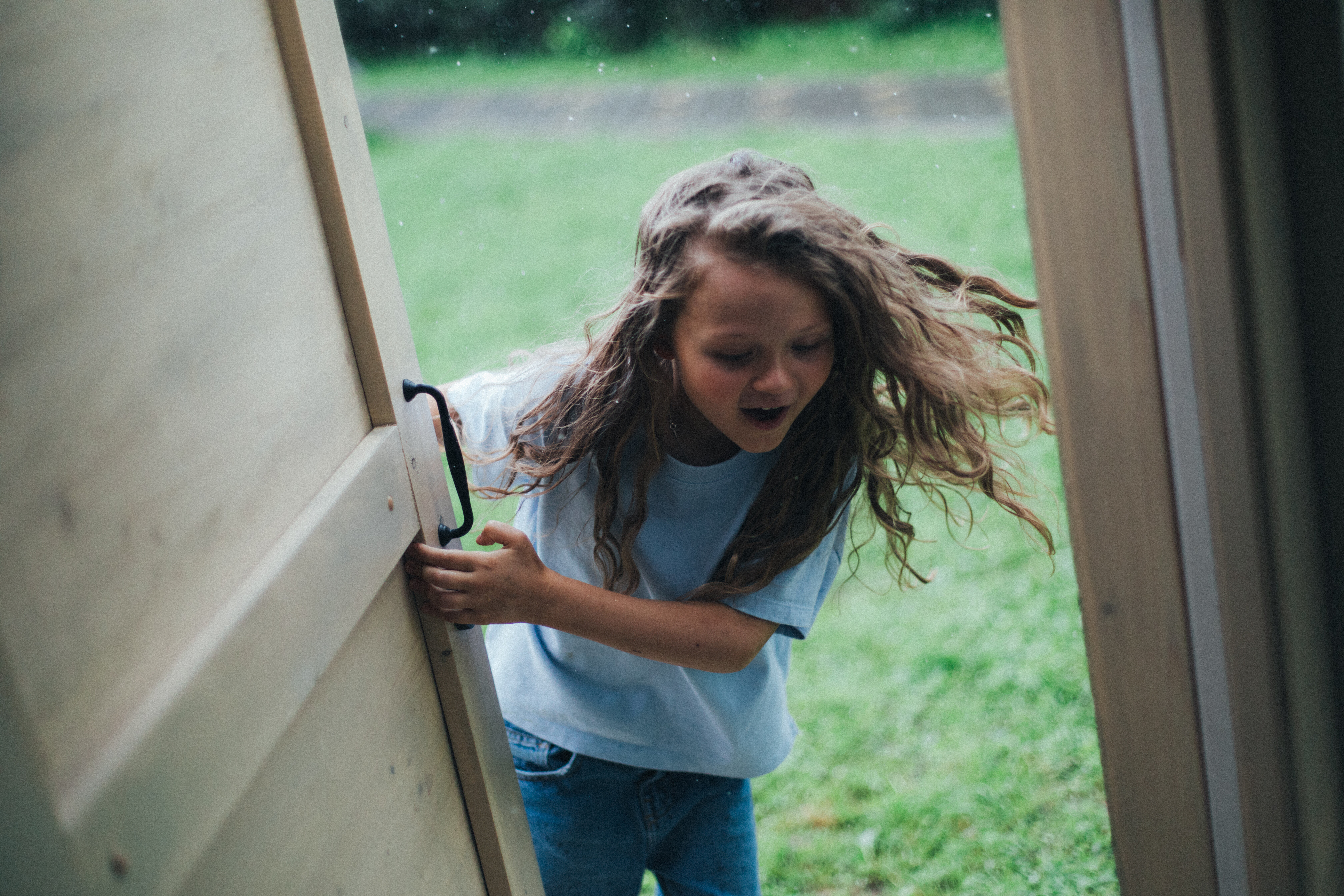 Фото Тополя