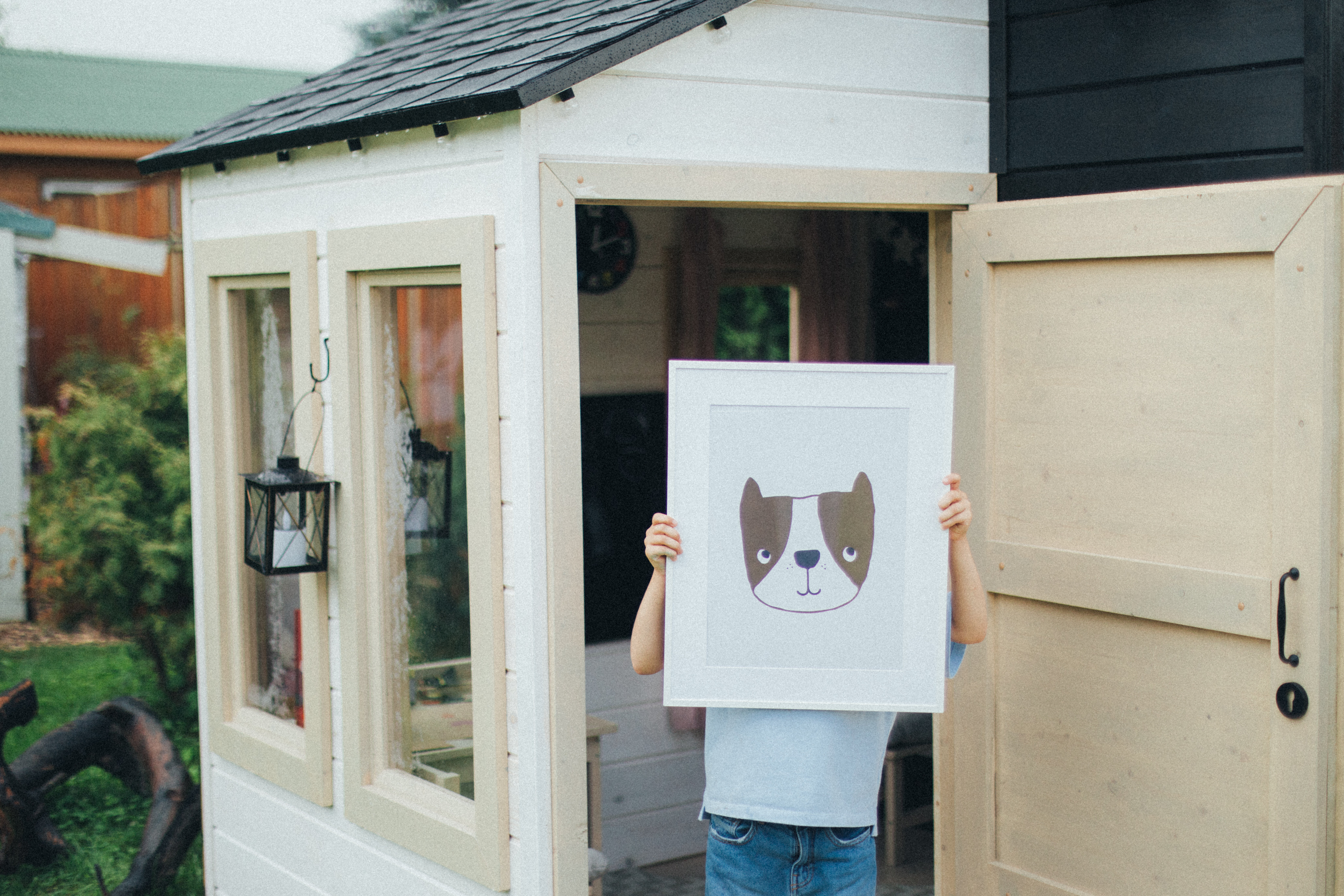 Фото Тополя