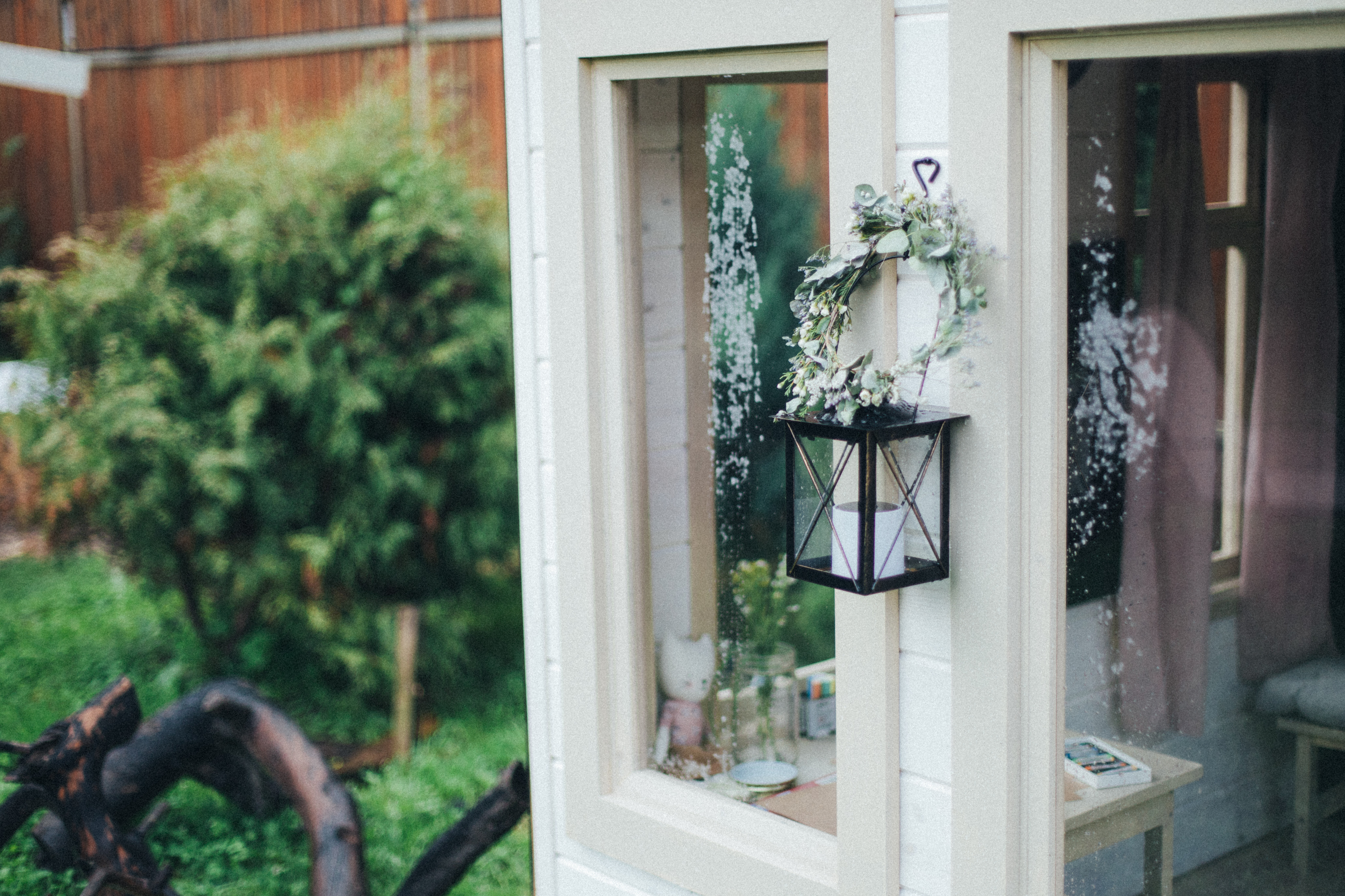 Фото Тополя