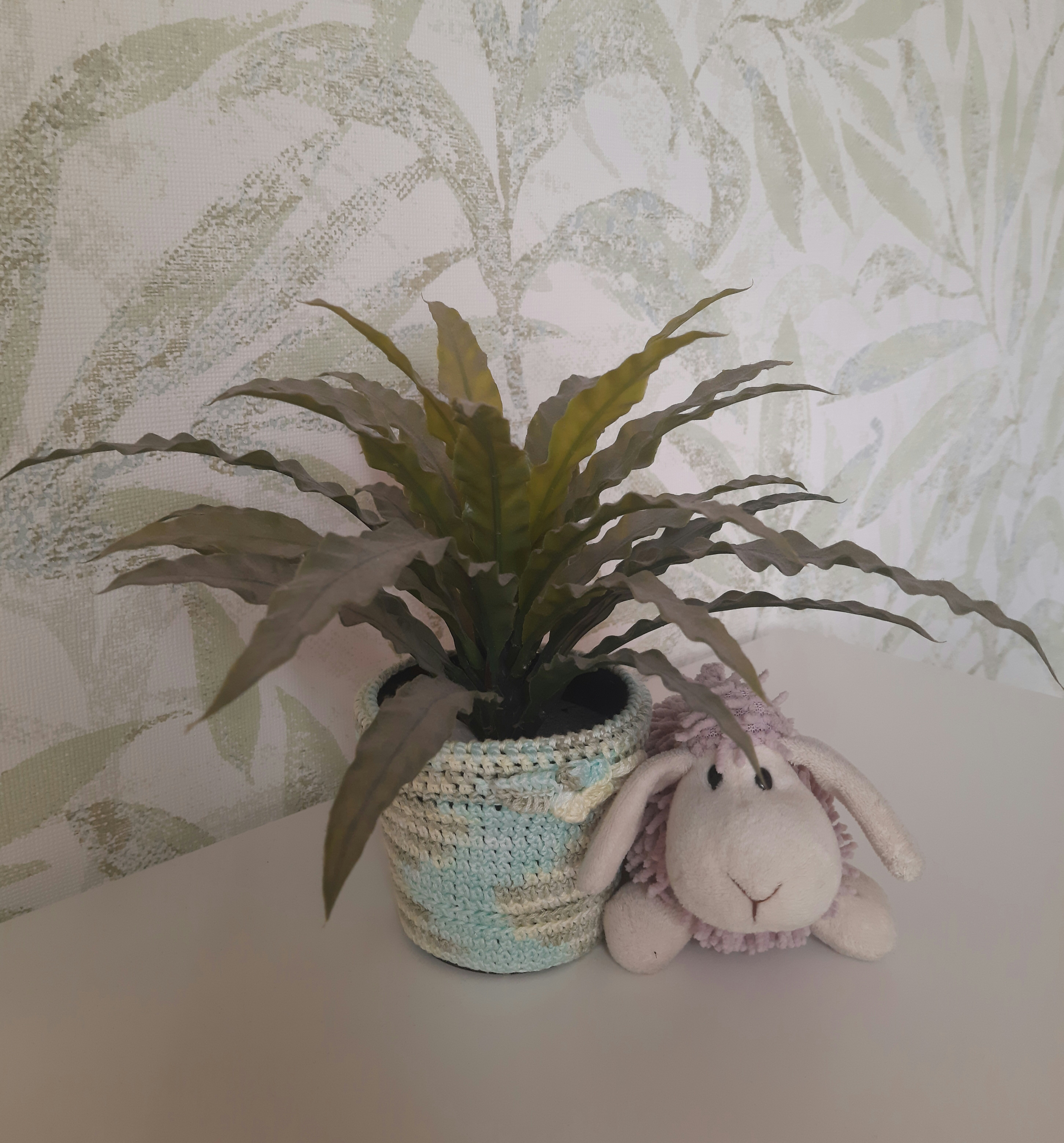 Фото ‎Выдринка