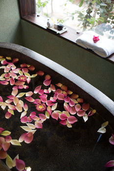 Фото Golden Temple Retreat