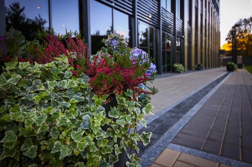 Гостиница Valo Network во Всеволожске