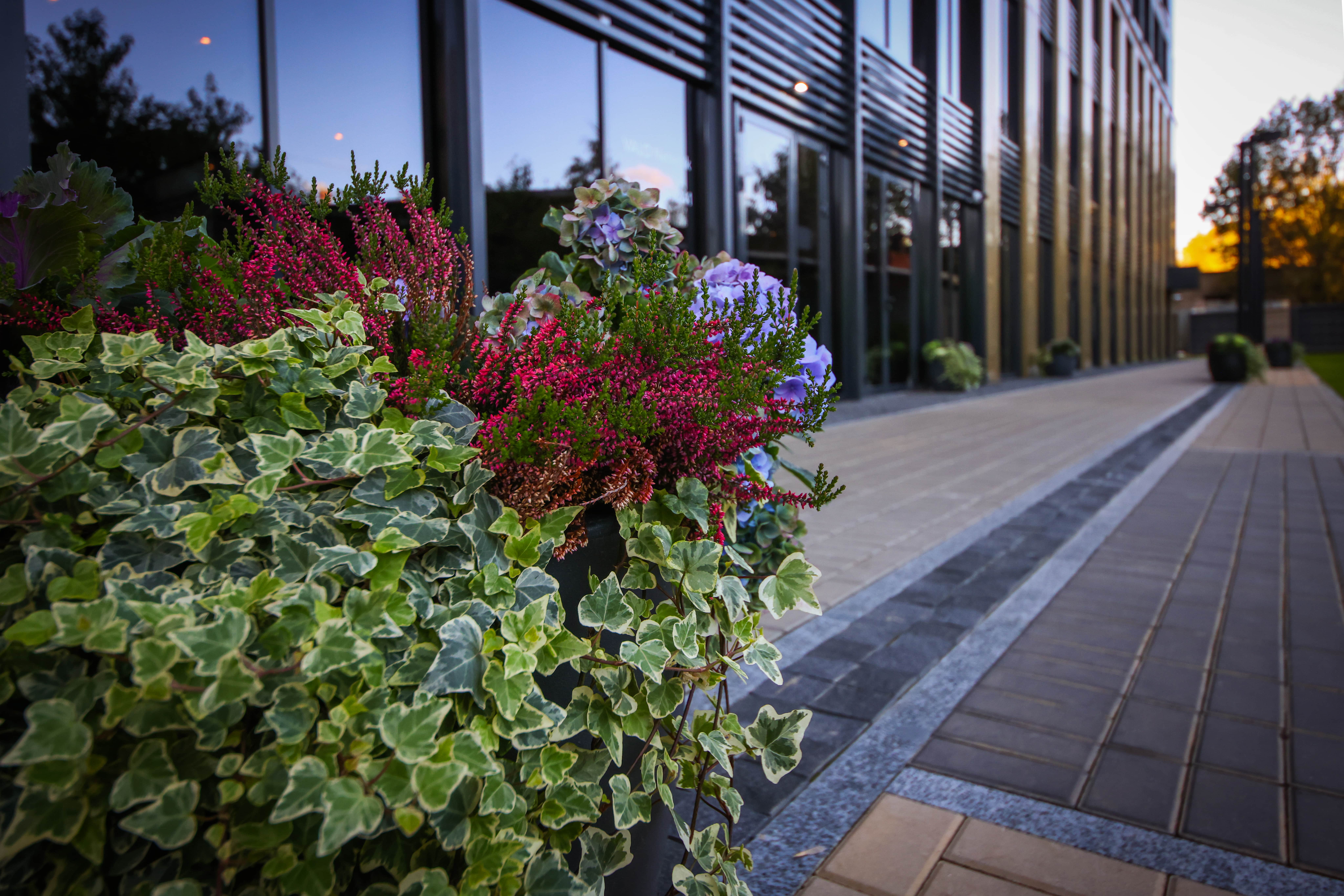 Фото Valo Network