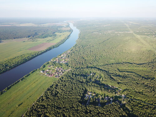 Yazlık yerleşim Dali, Moskova ve Moskovskaya oblastı, foto