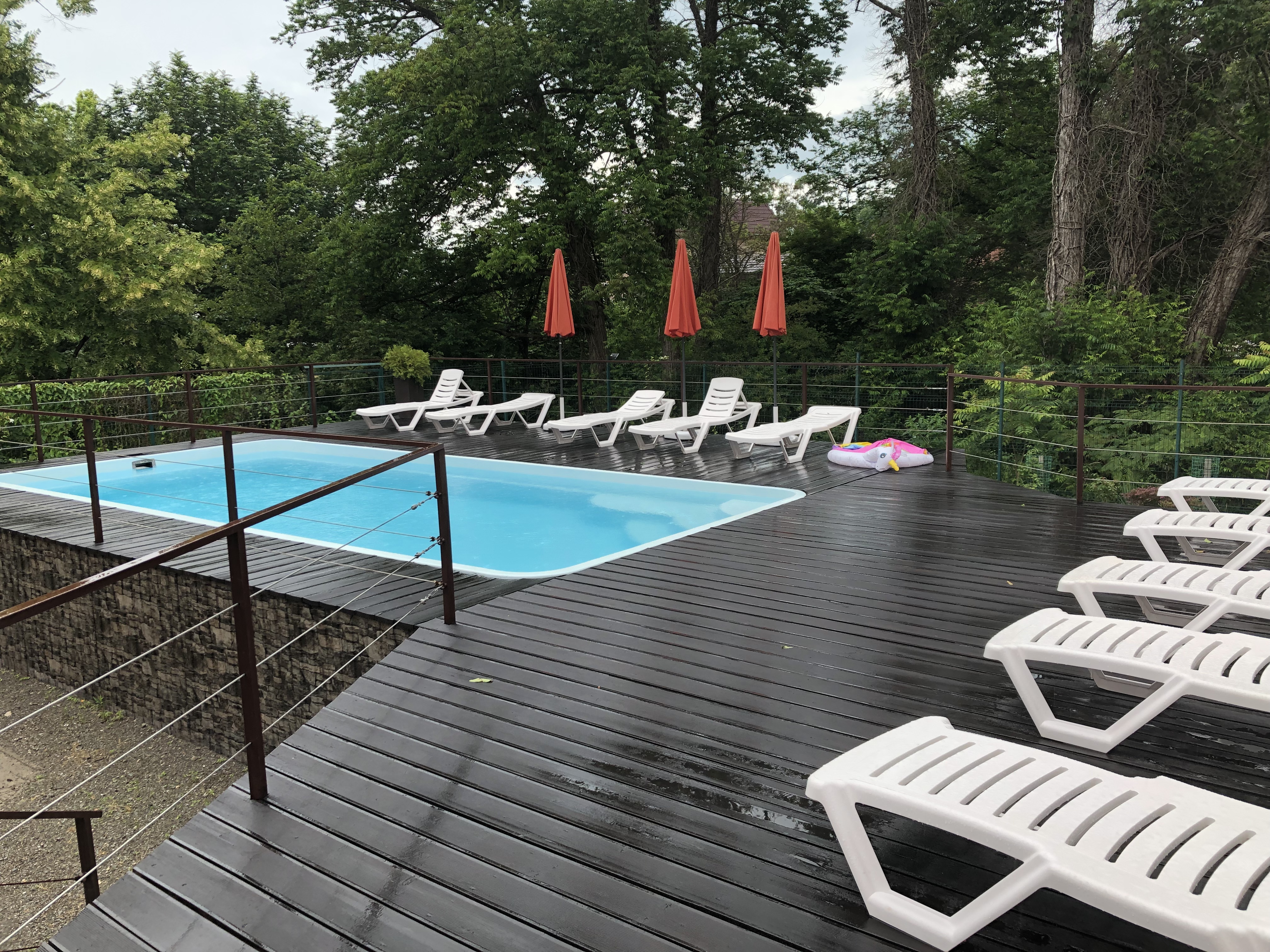 Фото Коралловый Риф