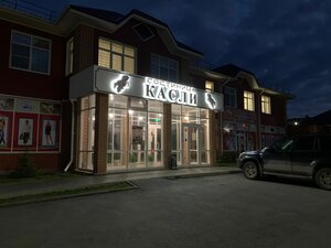 Касли