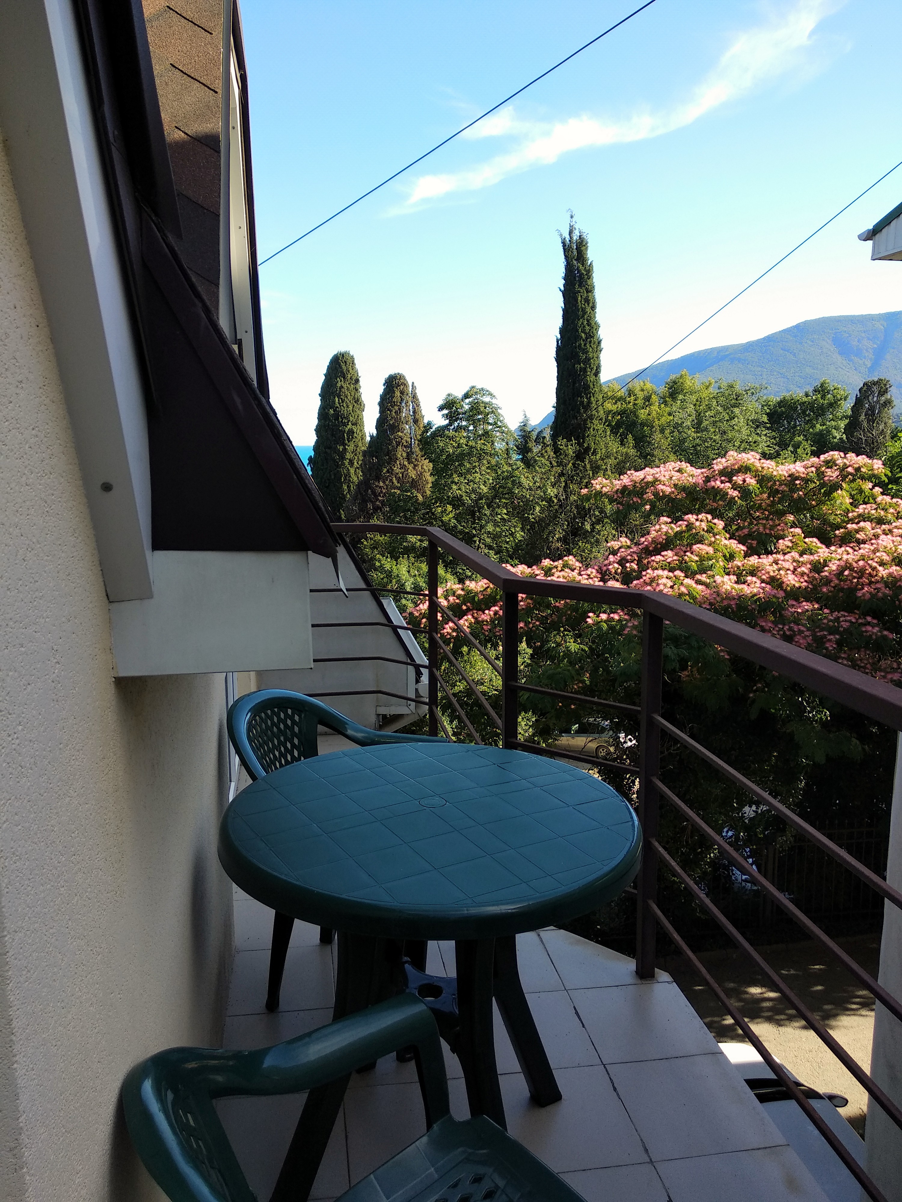 Фото Медуза