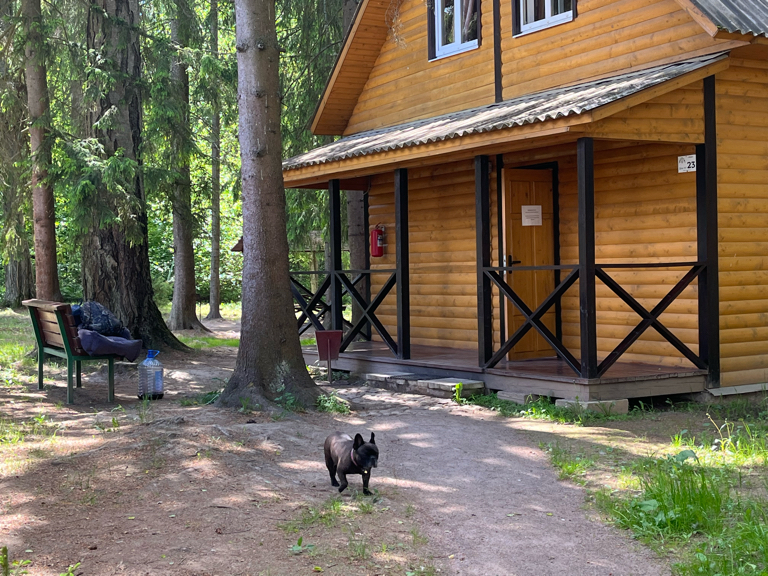 Фото Охотник и рыболов