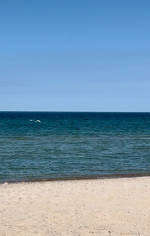 Фото Шале Люкс