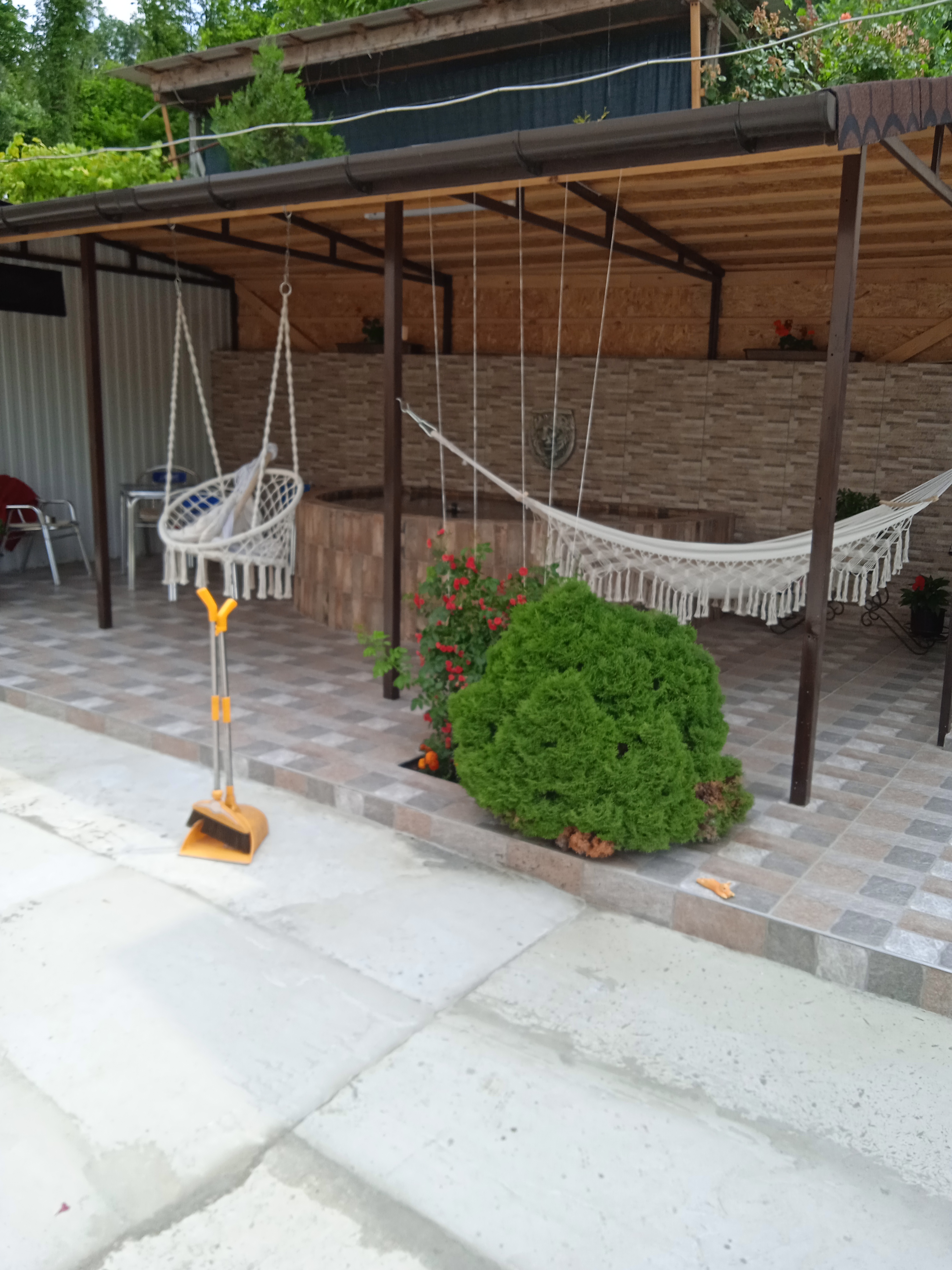 Фото Пальма