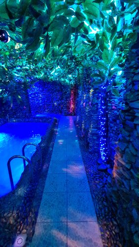 Mashhur porno rasmlar