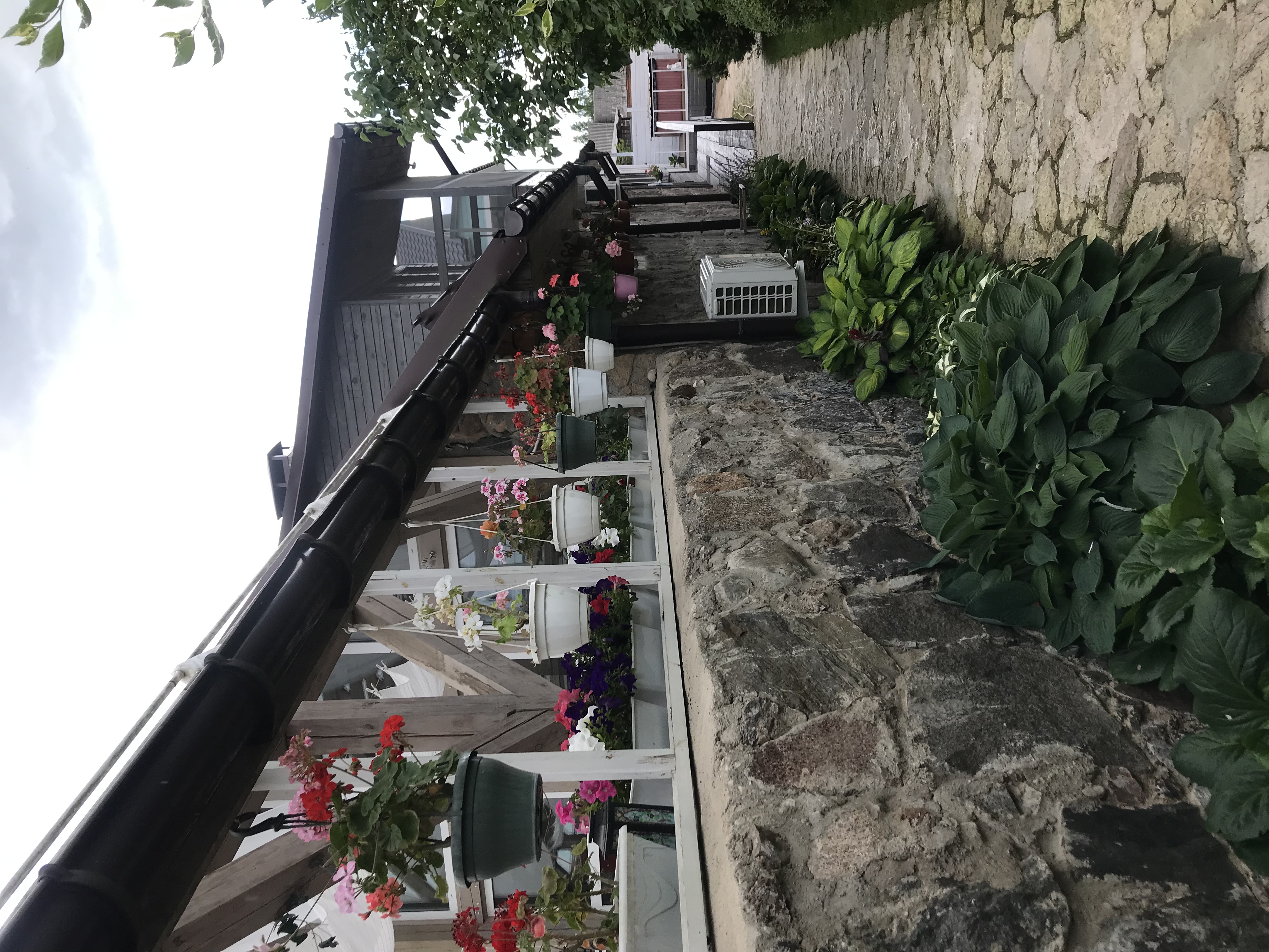 Фото Гостевая усадьба Тригорская 1