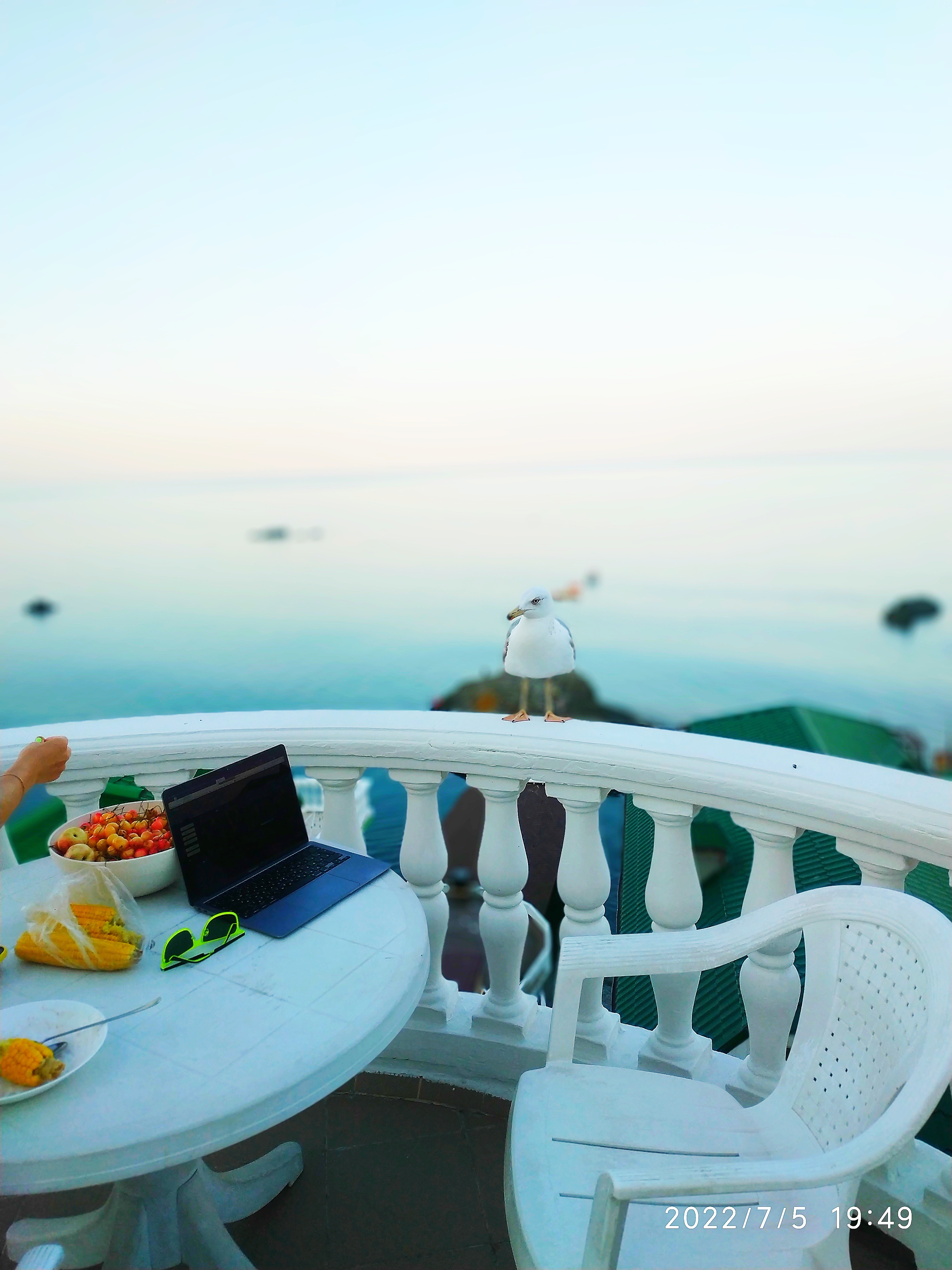 Фото Лагуна