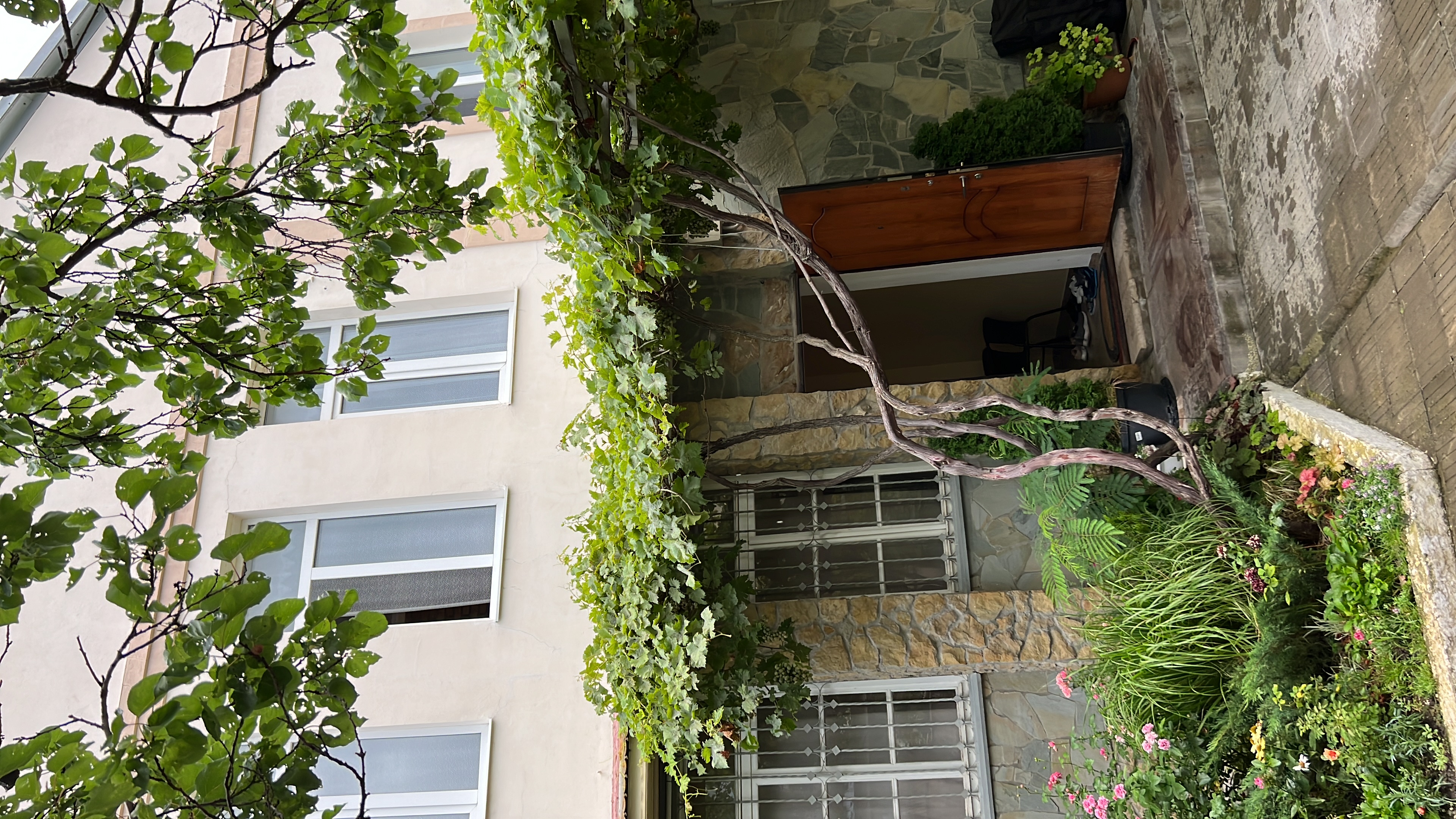 Фото Друзья