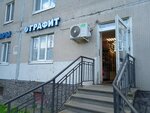 Grafit (Saint Petersburg, Zvyozdnaya Street, 5к1) ، stationery store