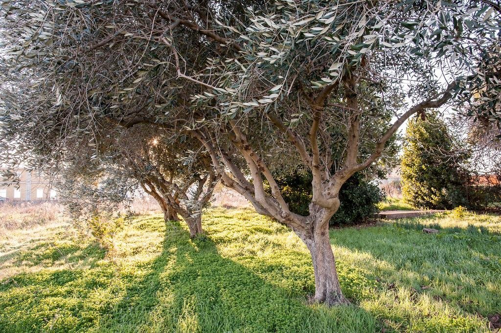 Фото B&b VIA Della Marina 3