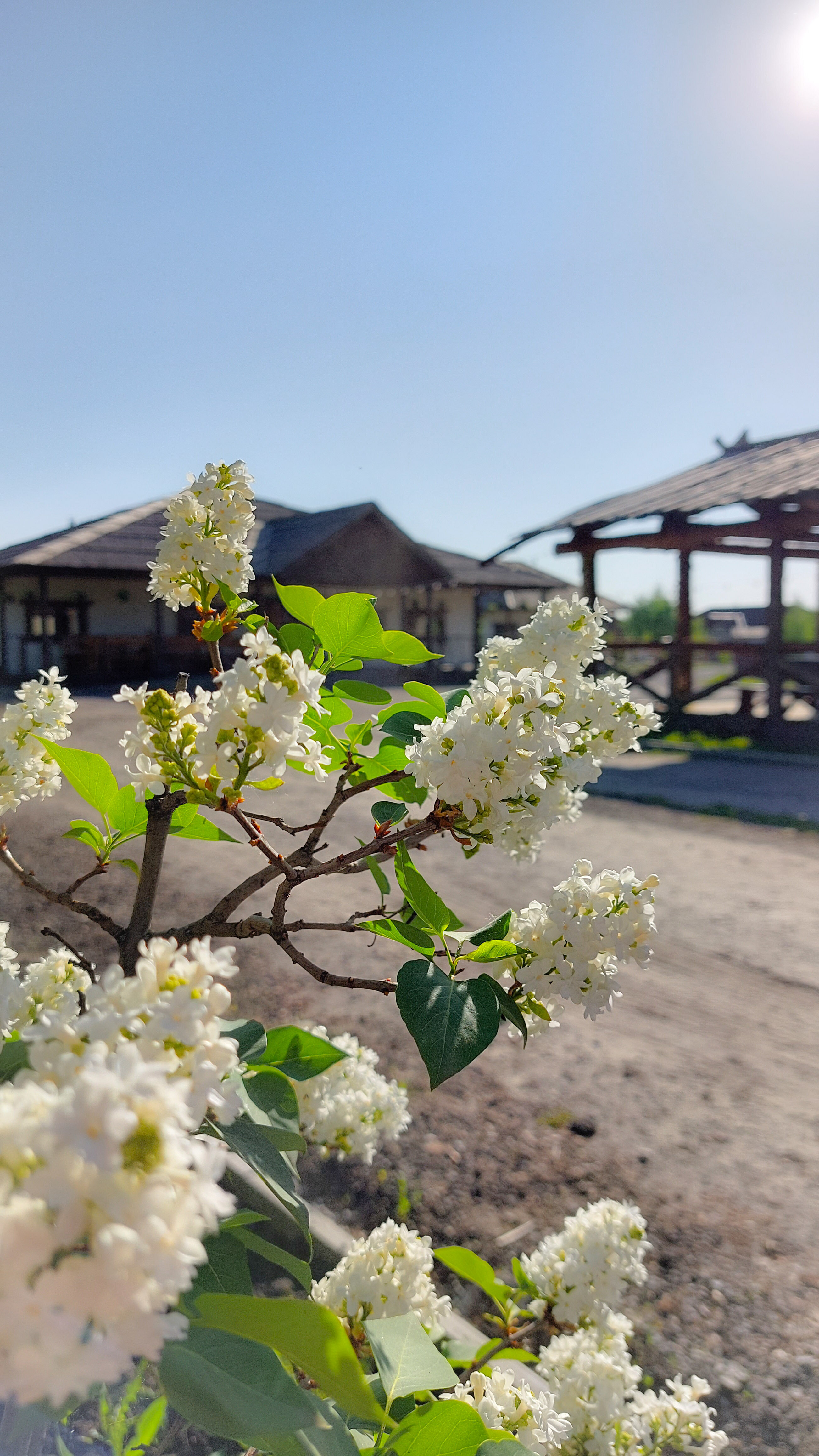 Фото Своя ферма