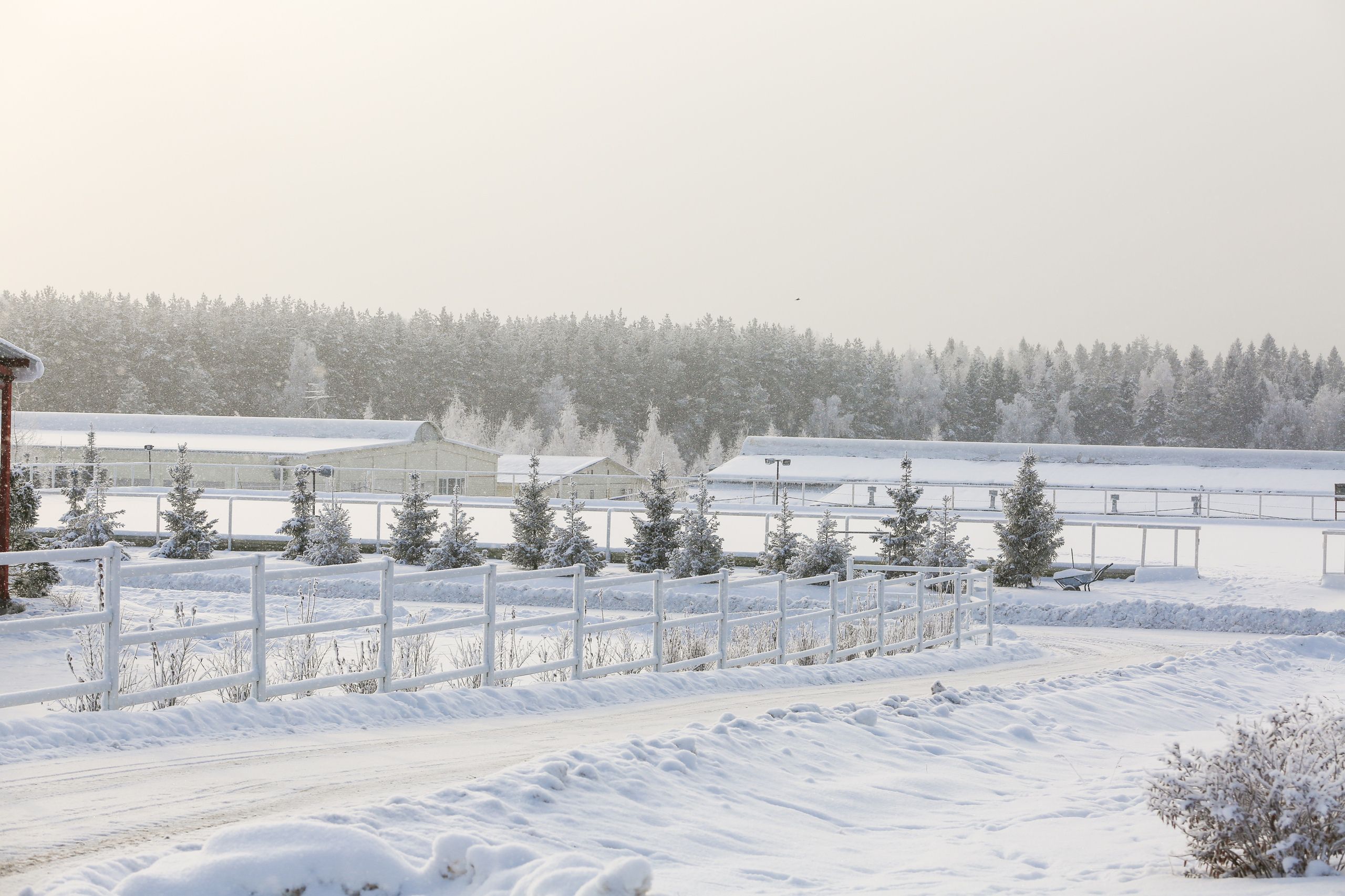 Фото Максима Парк