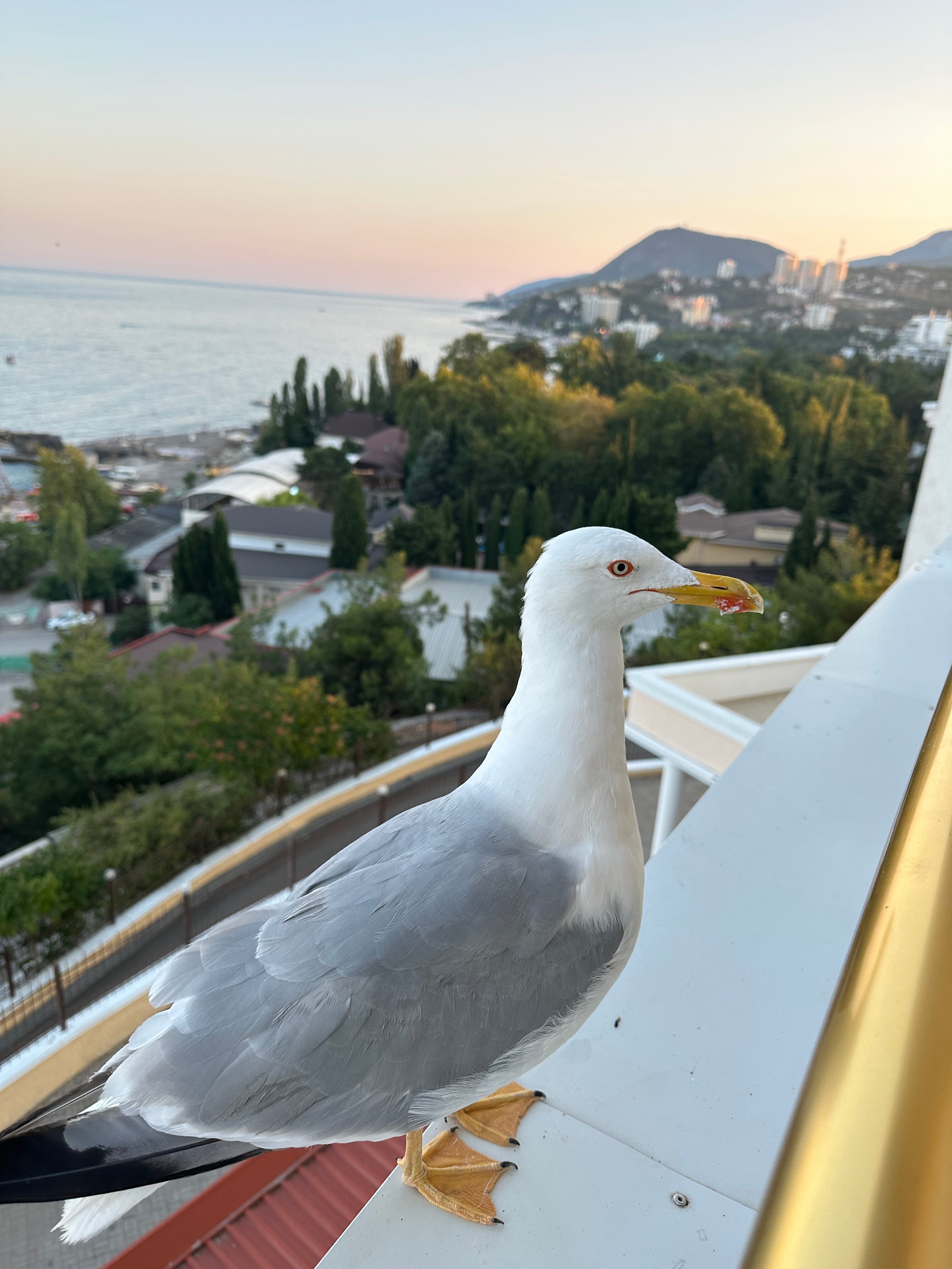 Фото Бартон Парк