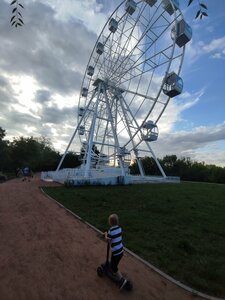 Шошқа сағатымен жыныстық қатынас