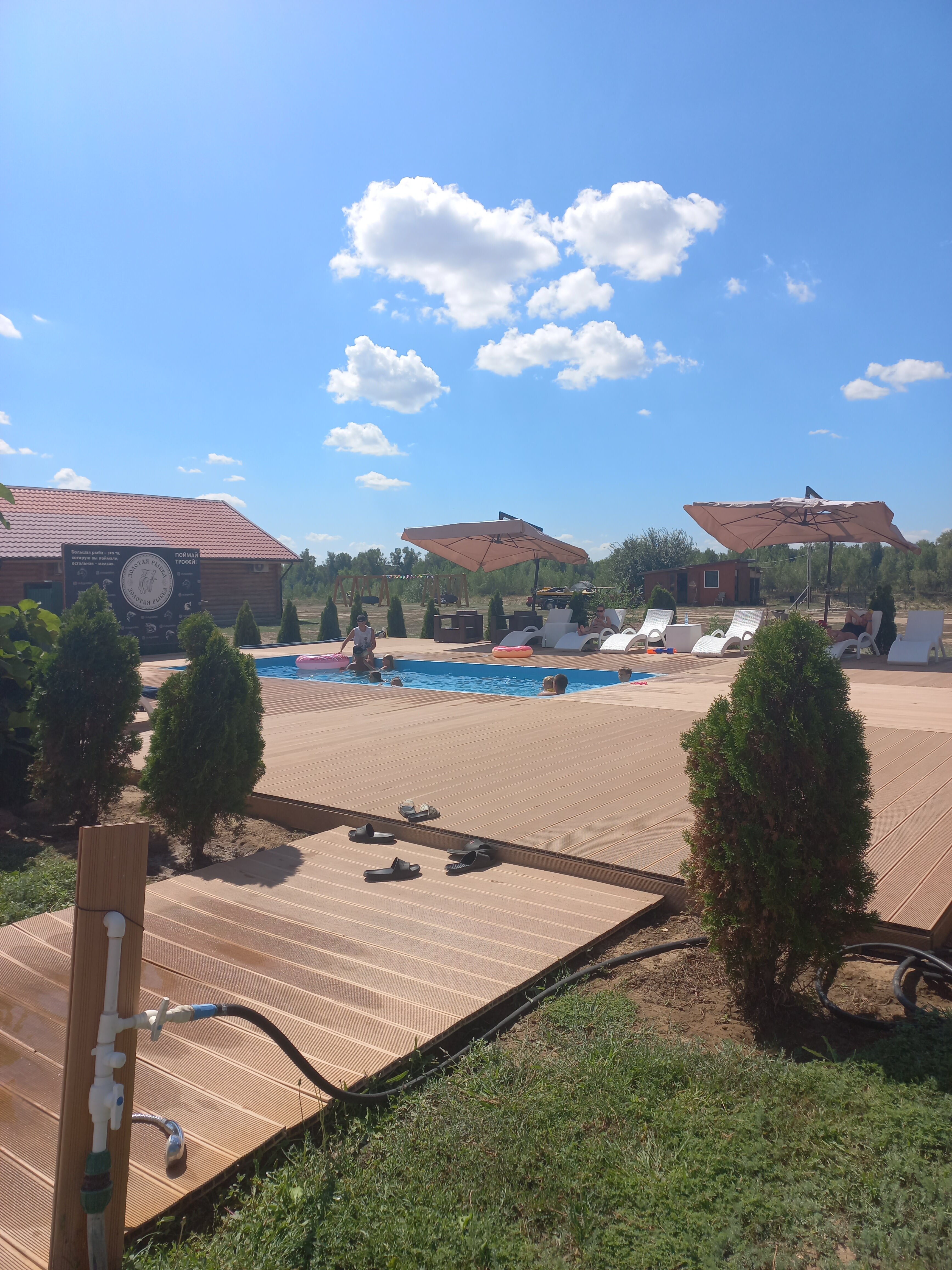 Фото Золотая рыбка