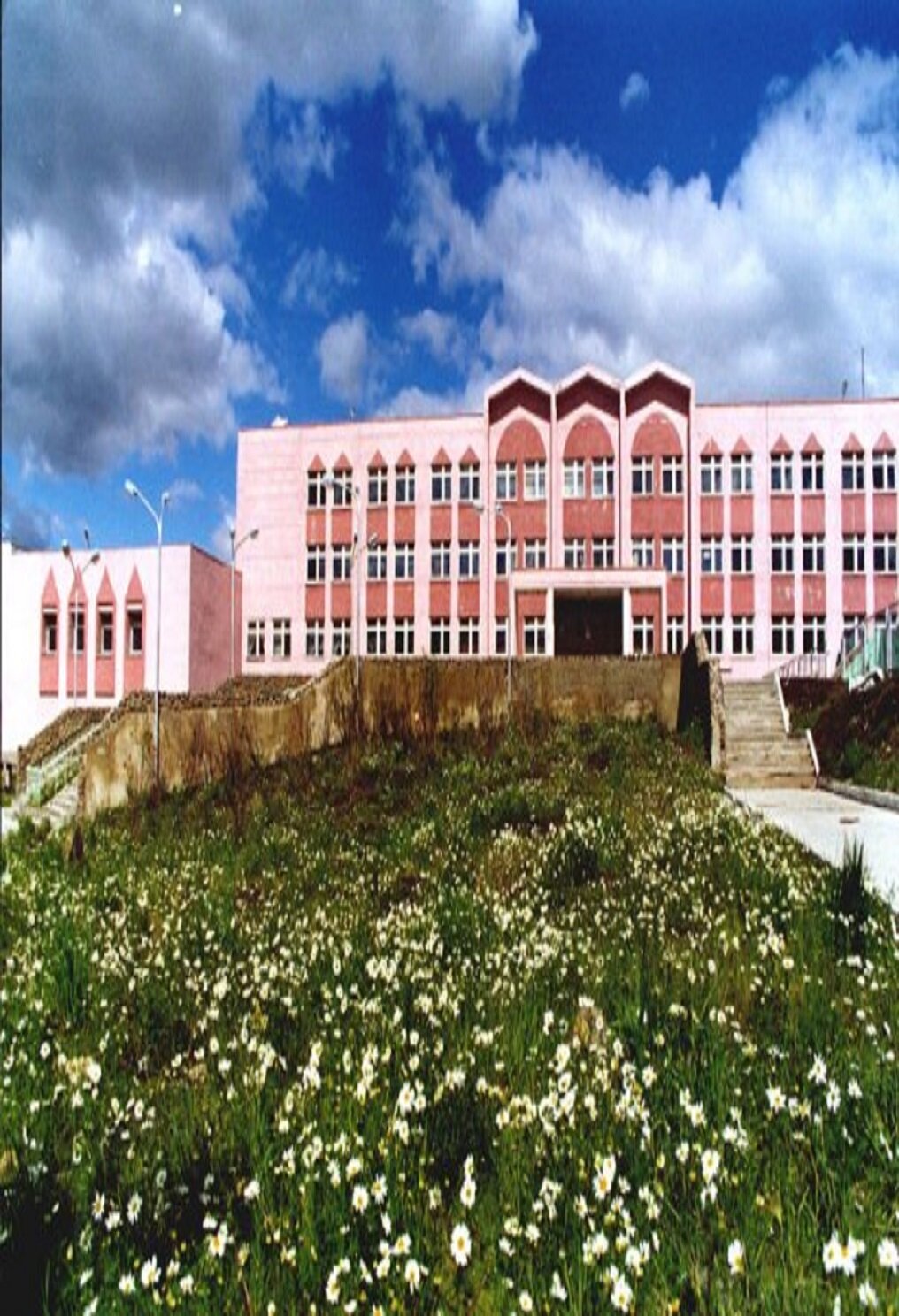 Миа Халифа ақ төсекте жігітті трахает және барынша қатты ыңылайды!