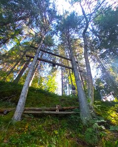 Комсомольская поляна (Ленинградская область, Гатчинский муниципальный округ, Сиверское территориальное управление), смотровая площадка в Санкт‑Петербурге и Ленинградской области