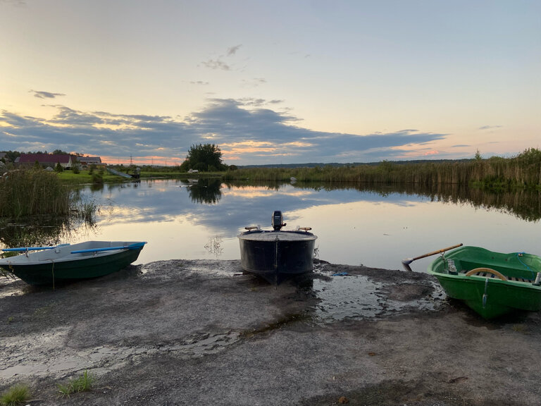 Фото Хитрый Лис