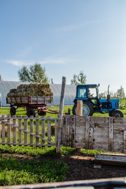 Фото Егорово поместье