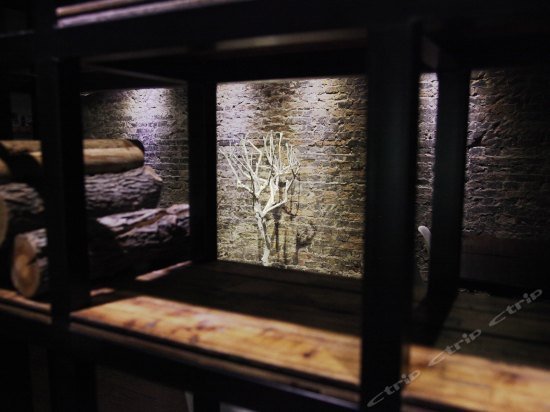 Фото Fish Inn Shanghai East Nanjing Road