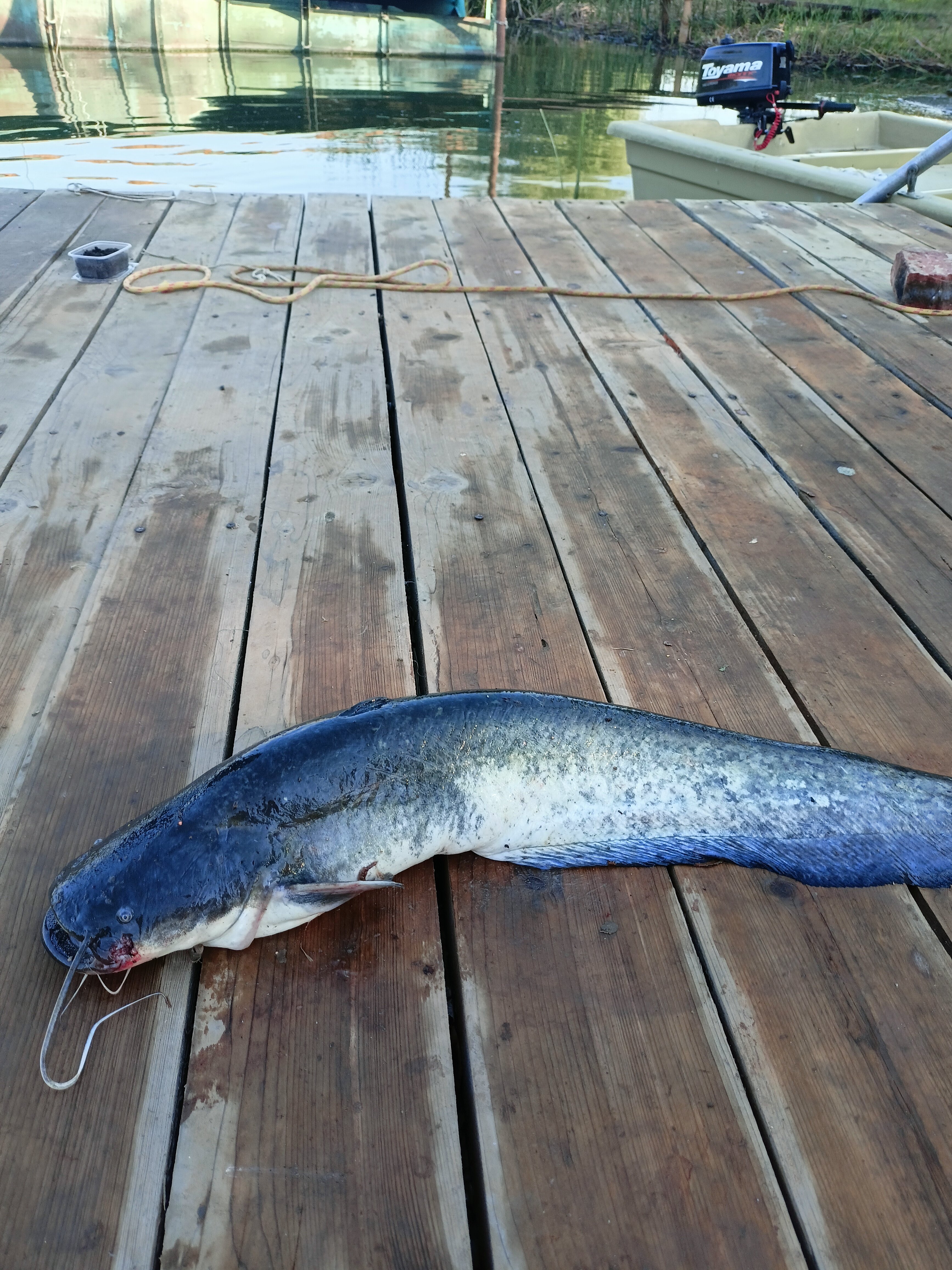 Фото Усадьба Гандурино