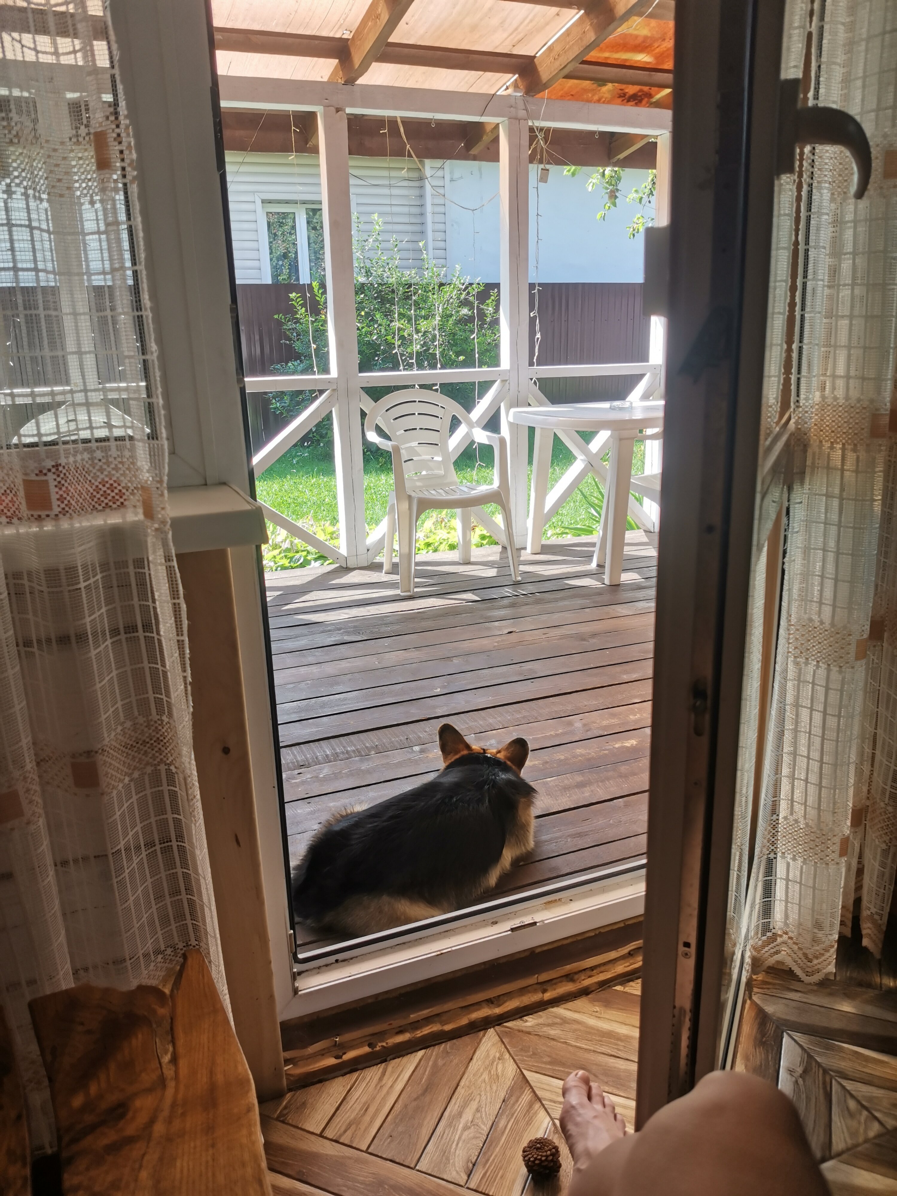 Фото АлтынЪ