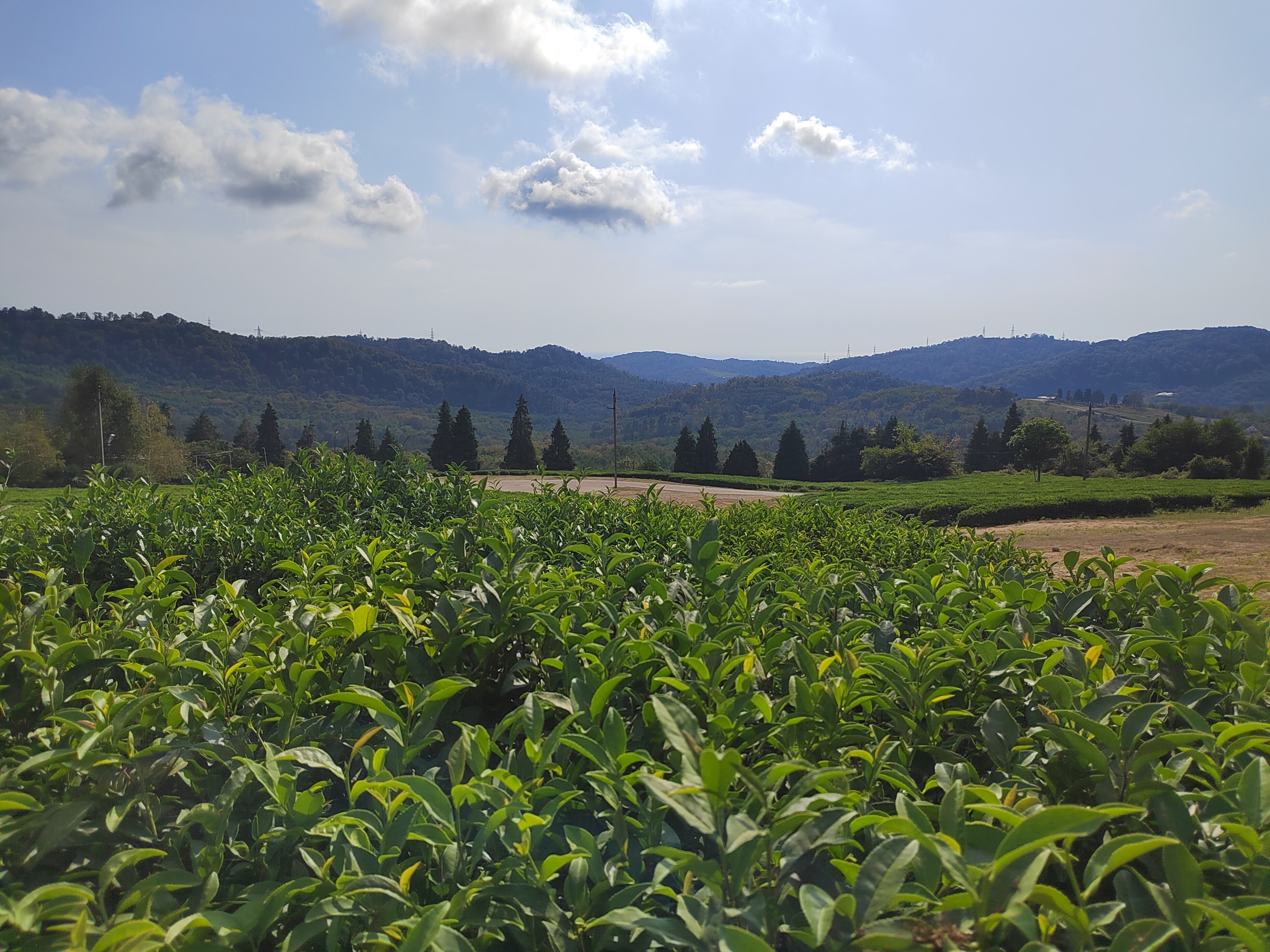 Фото Горный Эдем