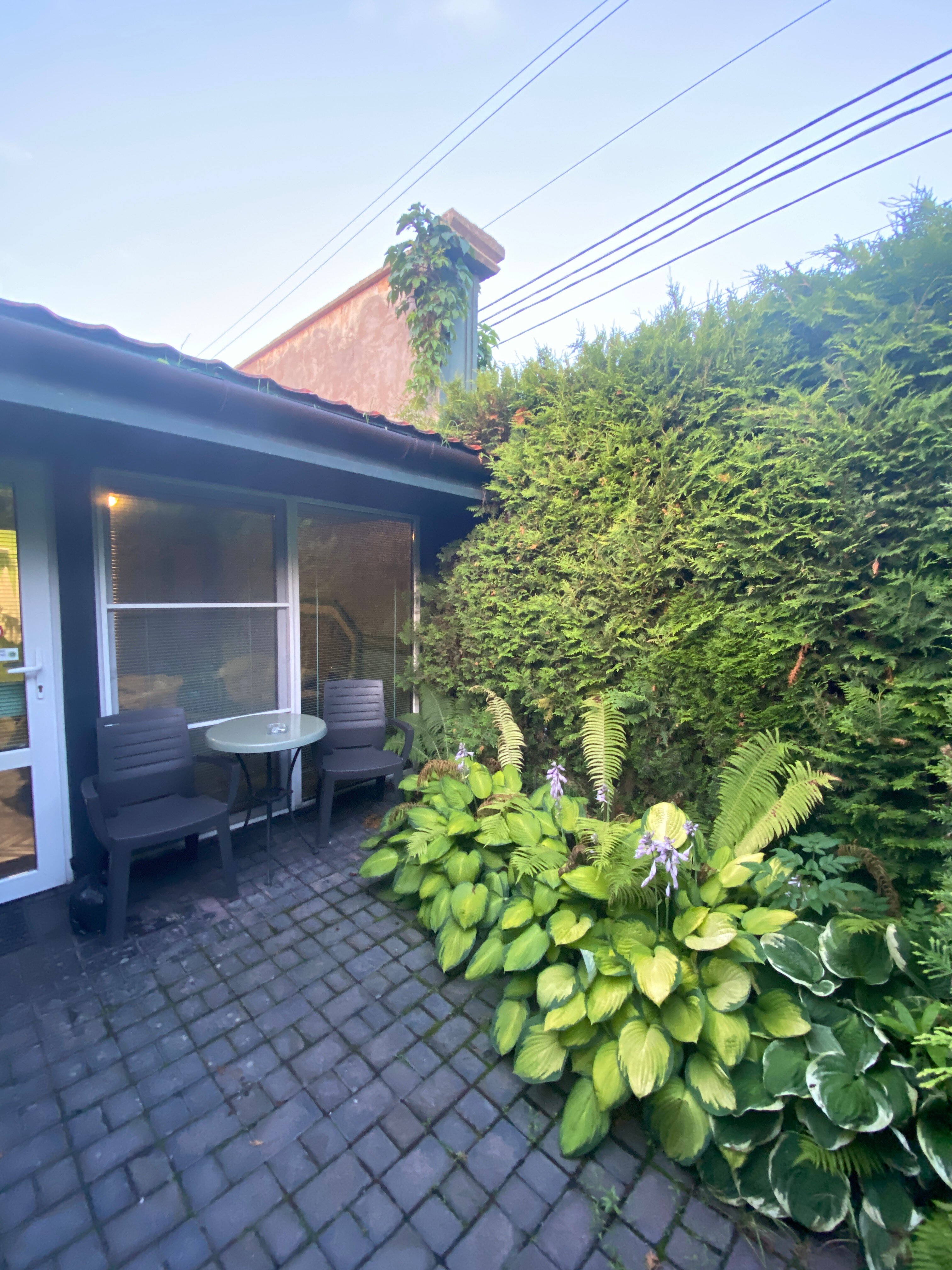 Фото Сытый Ежик