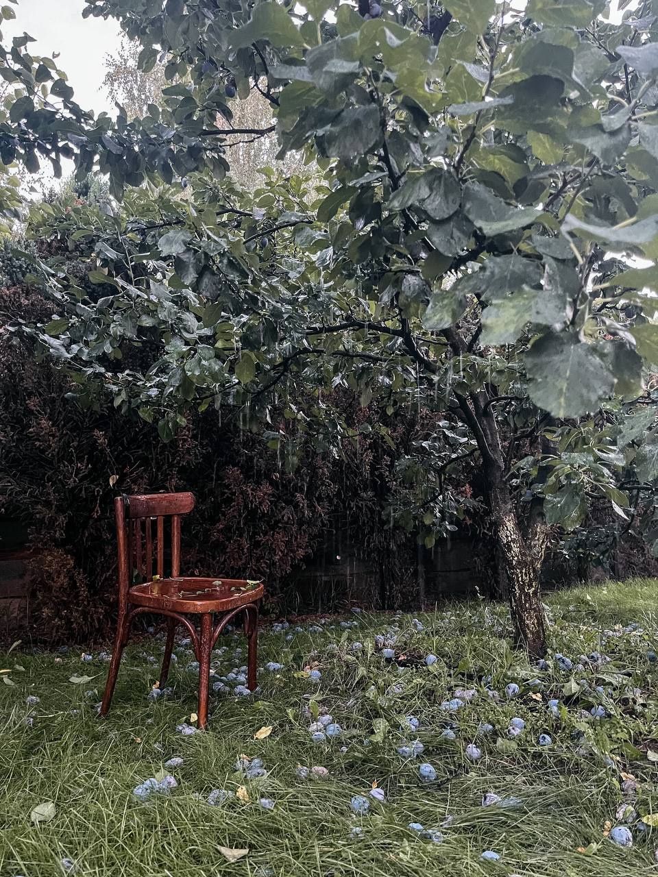 Фото Villa Boutique