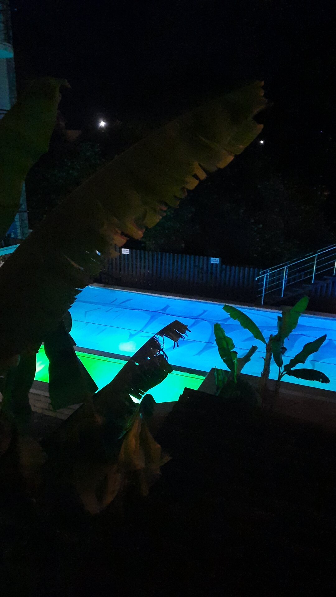 Фото Березы