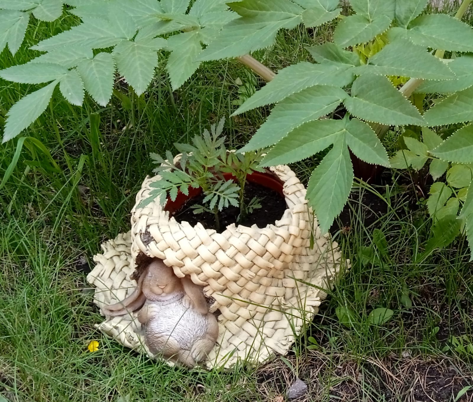 Фото Дарина