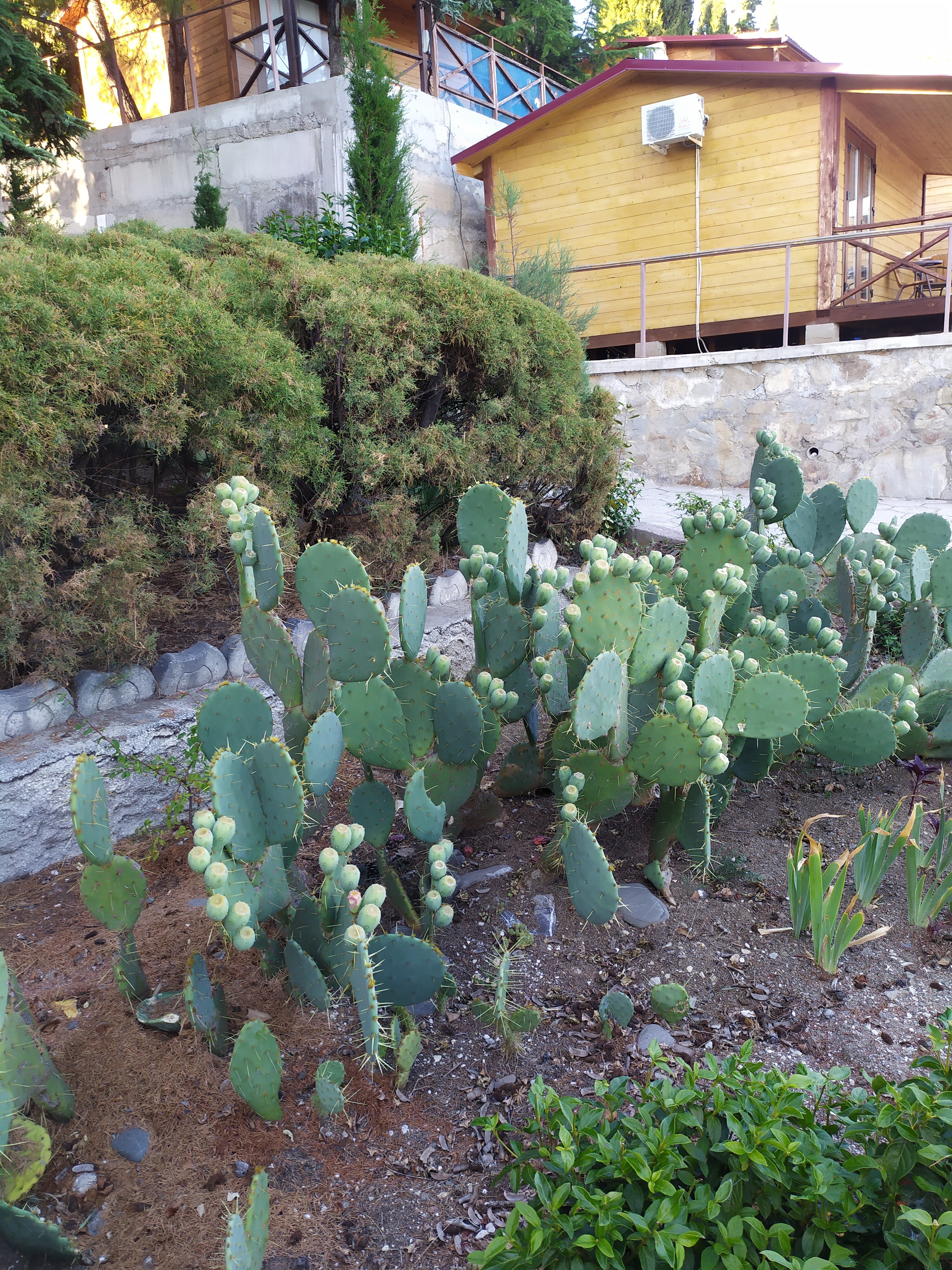 Фото Эко-Village