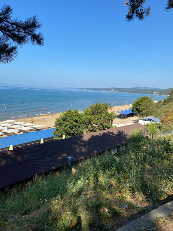 Фото У Петровича