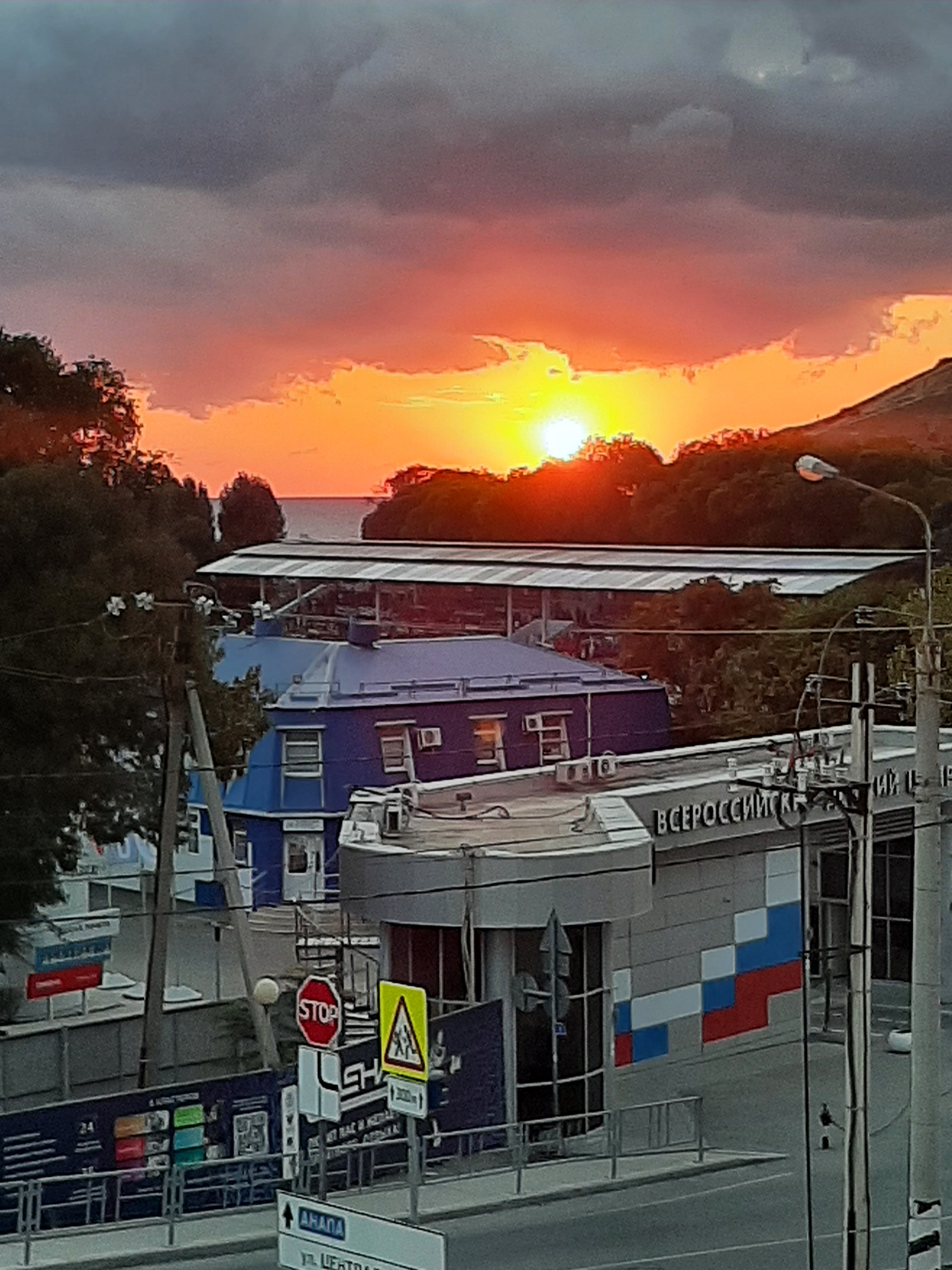 Фото Сильвия