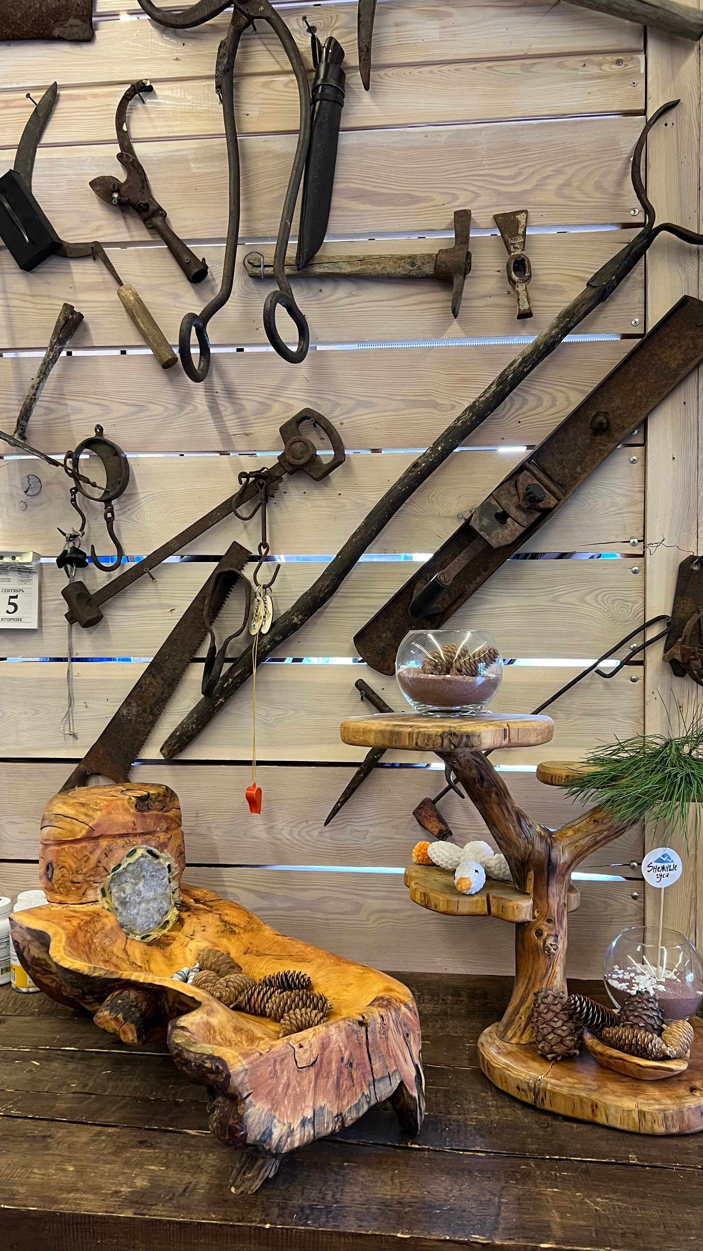 Фото Снежные Гуси